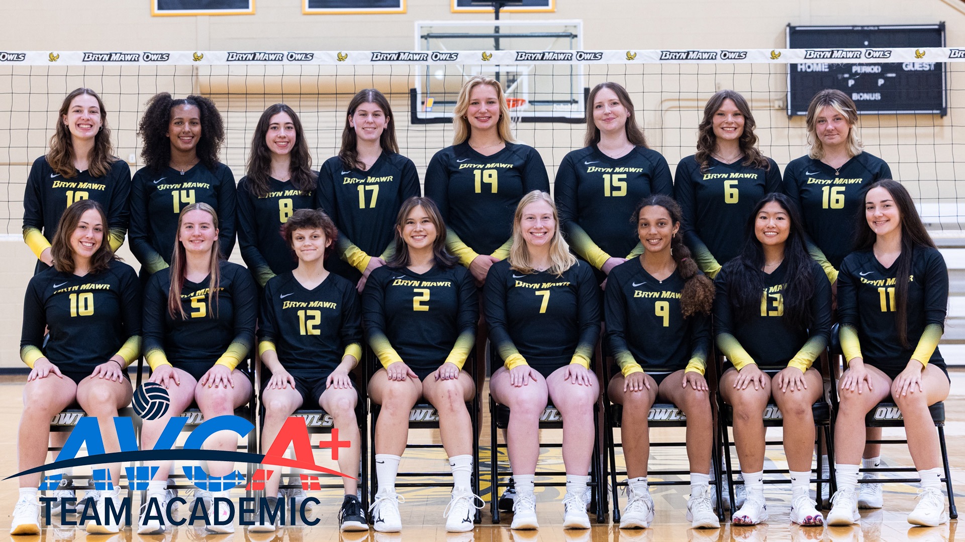 AVCA Graphic