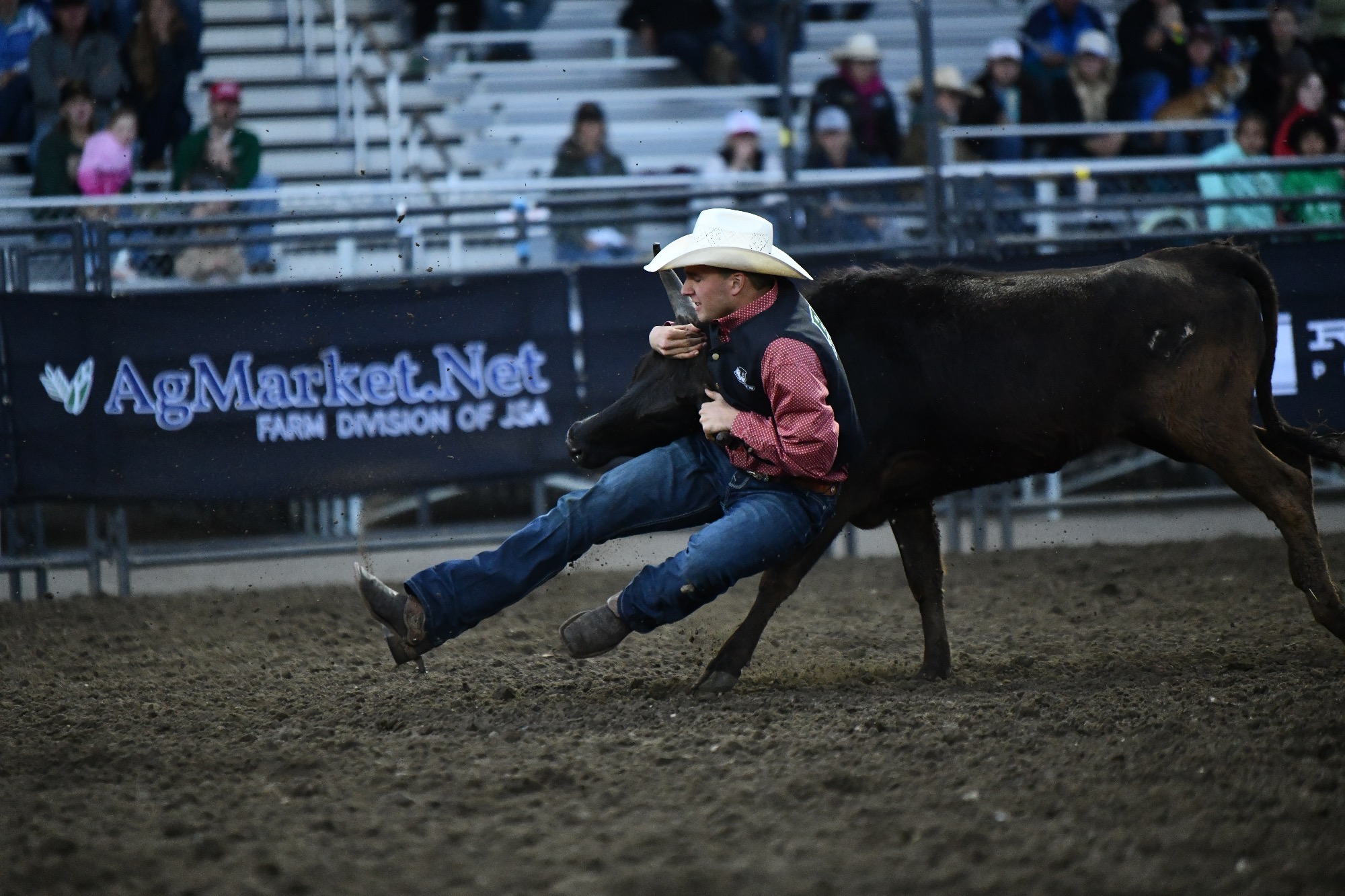 Kale Hansen Mystics Stampede