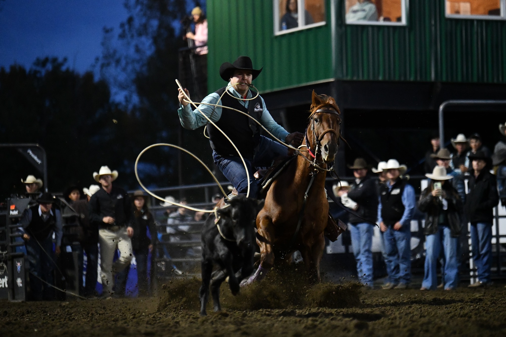 Tyler Hansen Mystic Stampede