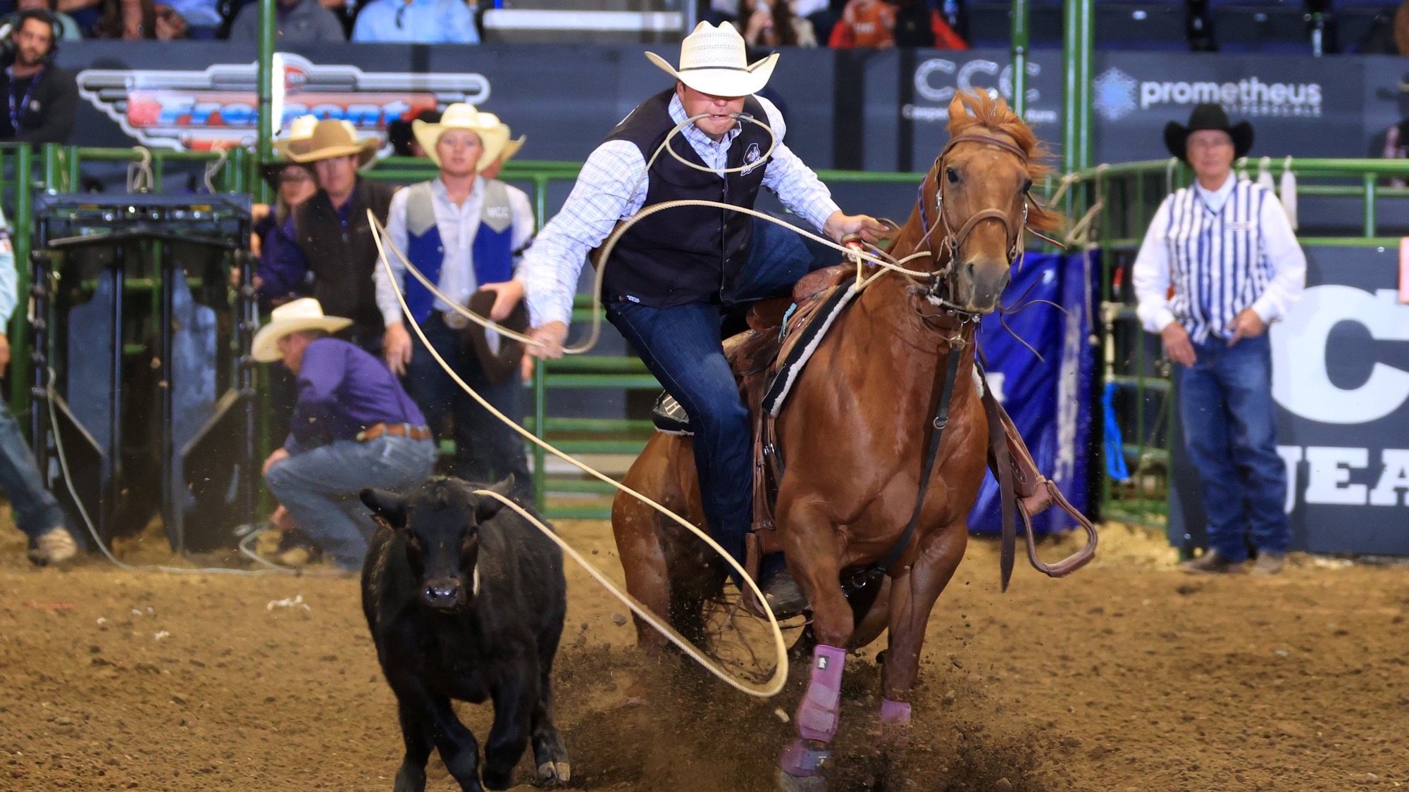 Tyler Hansen Short Go Tie Down Roping CNFR