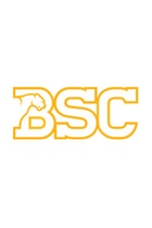 bsc