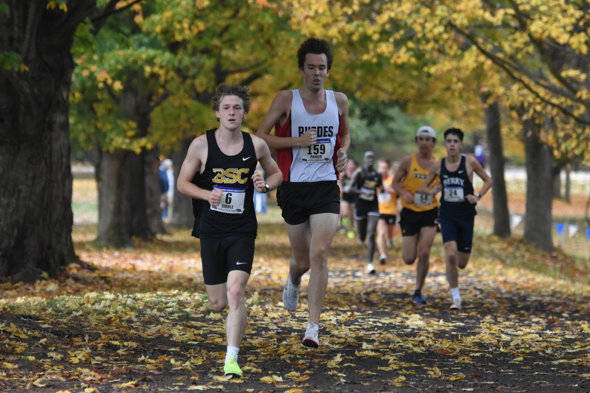 Cross Country at SAA