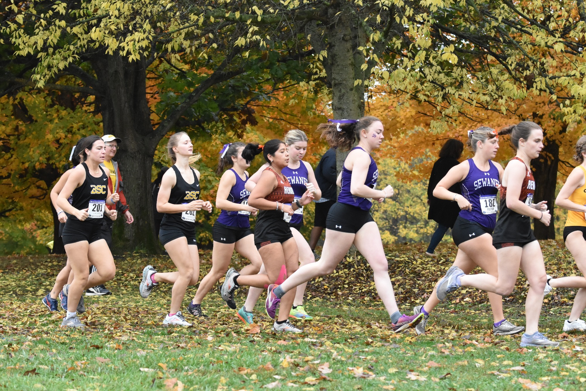 SAA Championship Run