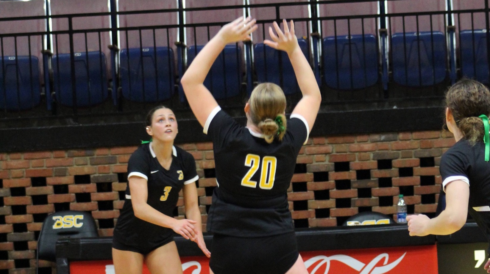 Schultz and Wilhelmi All-SAA