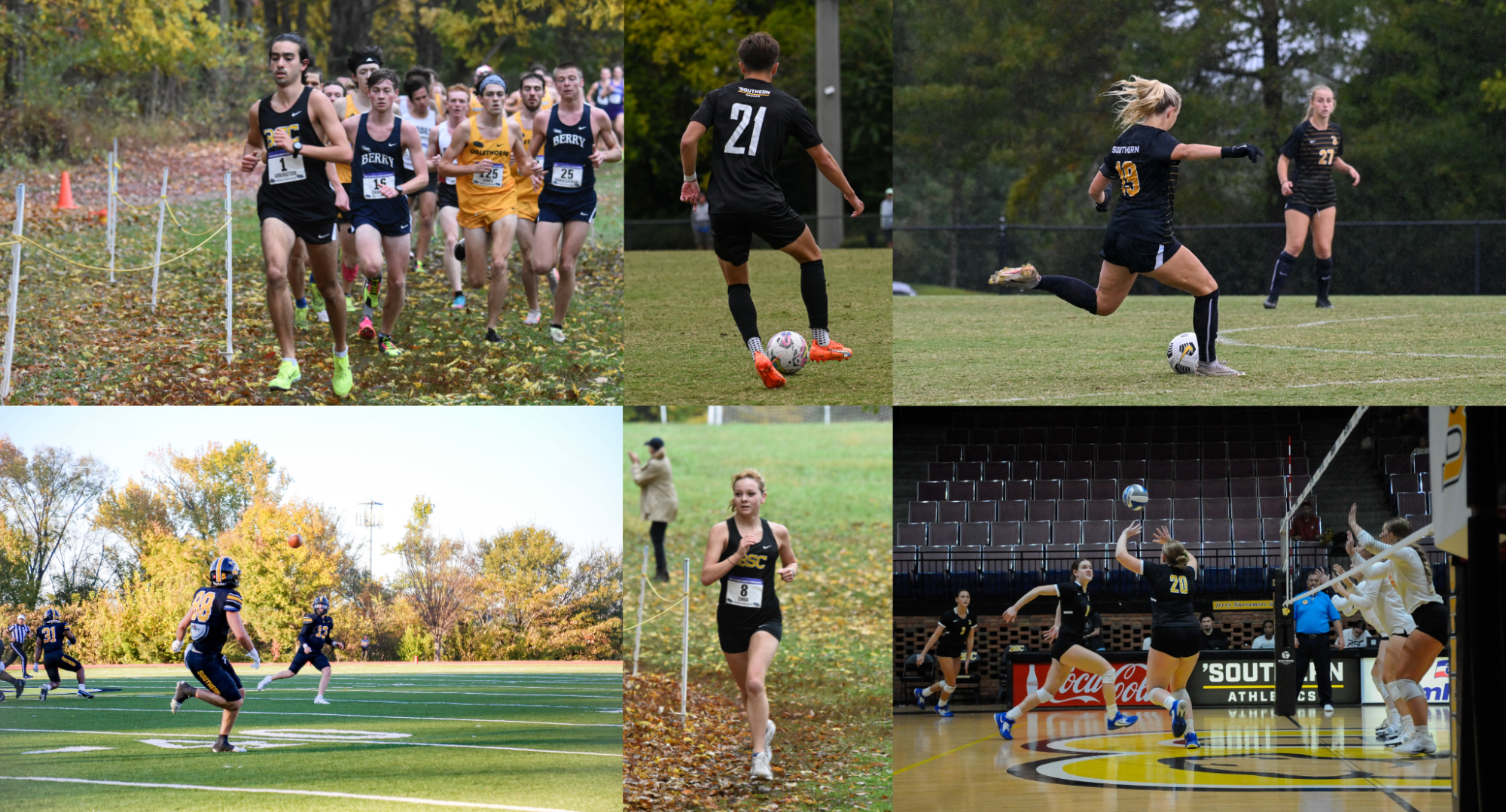 2023 Fall SAA Academic Honor Roll