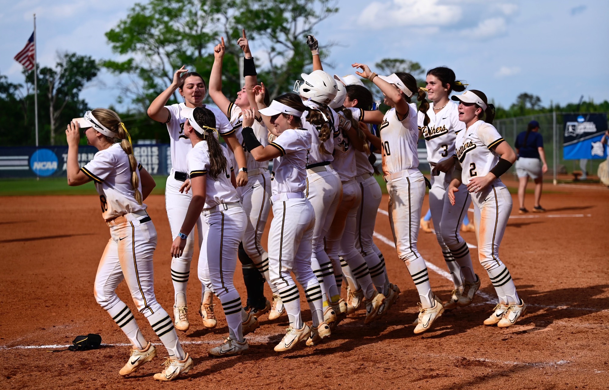 Softball Walk-off vs. Berry
