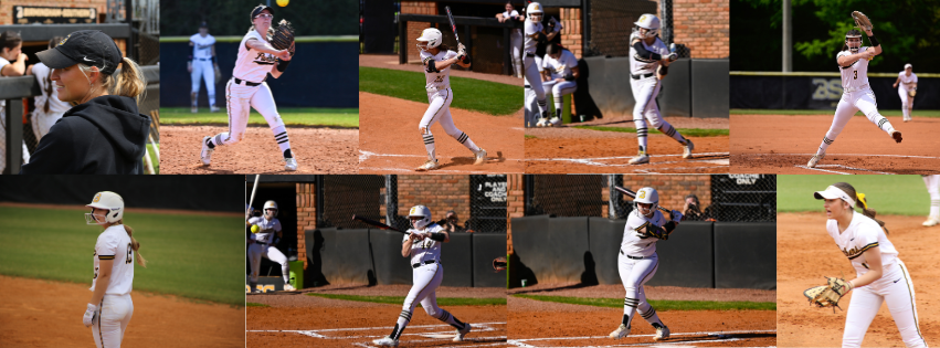 All-SAA Softball 2024