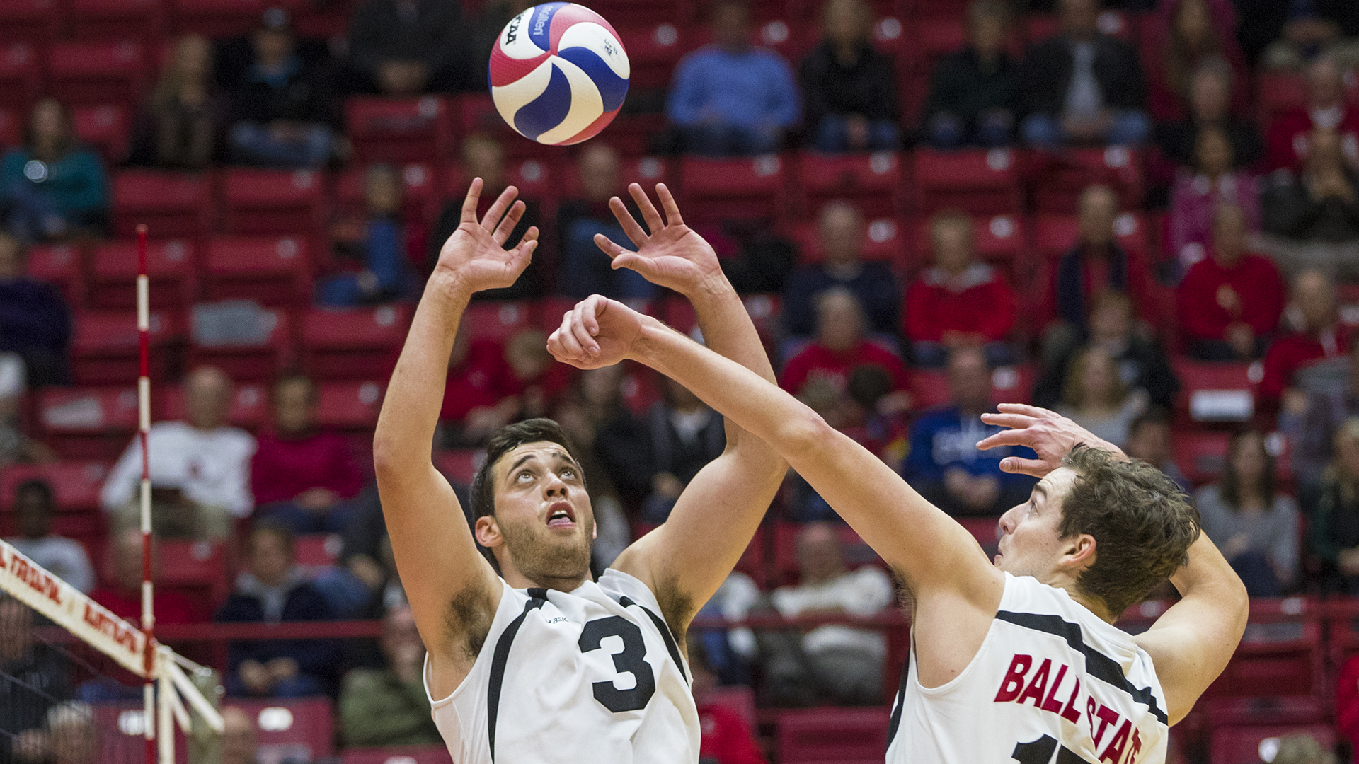 Alex Pia Men's Volleyball Ball State University Athletics