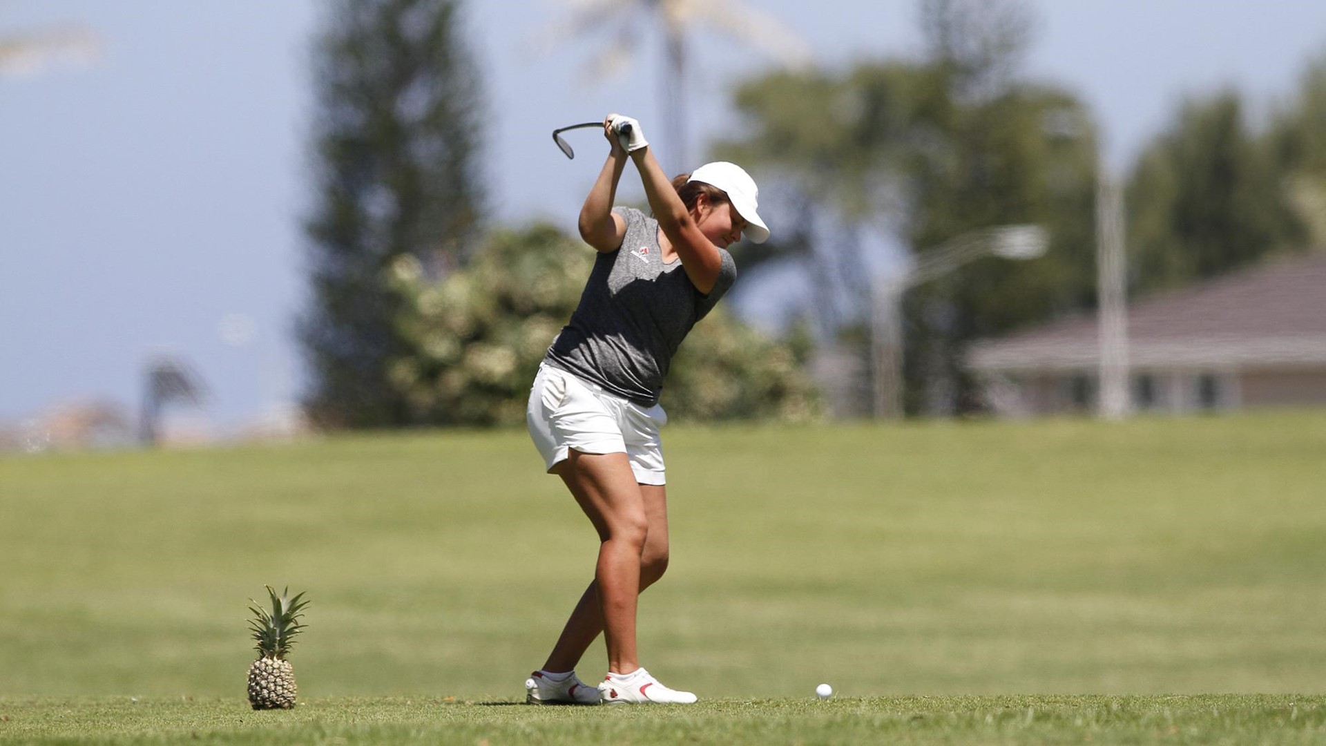 Allison Lindley Women's Golf Ball State University Athletics