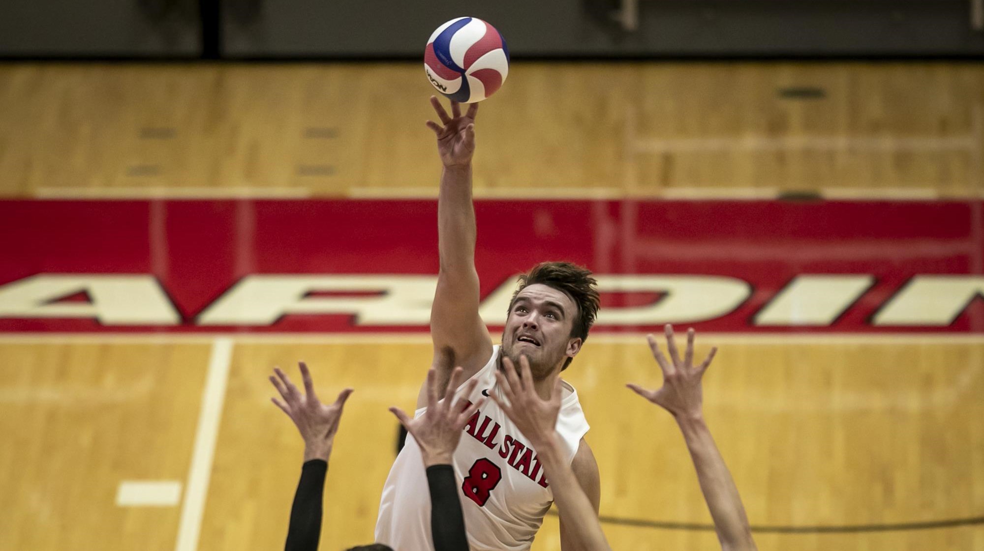 Blake Reardon Men's Volleyball Ball State University Athletics