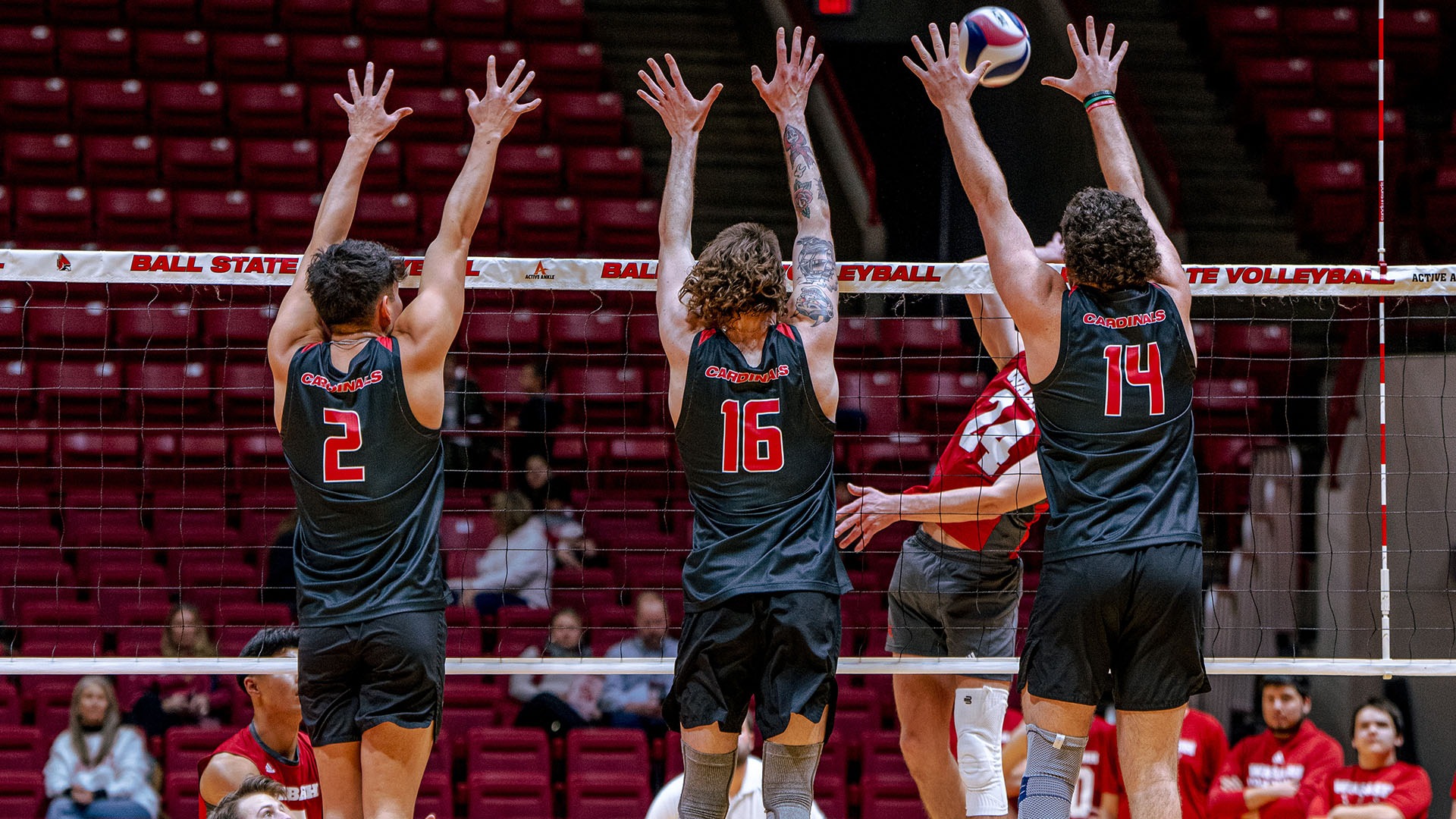 Nathan Goh Men's Volleyball Ball State University Athletics