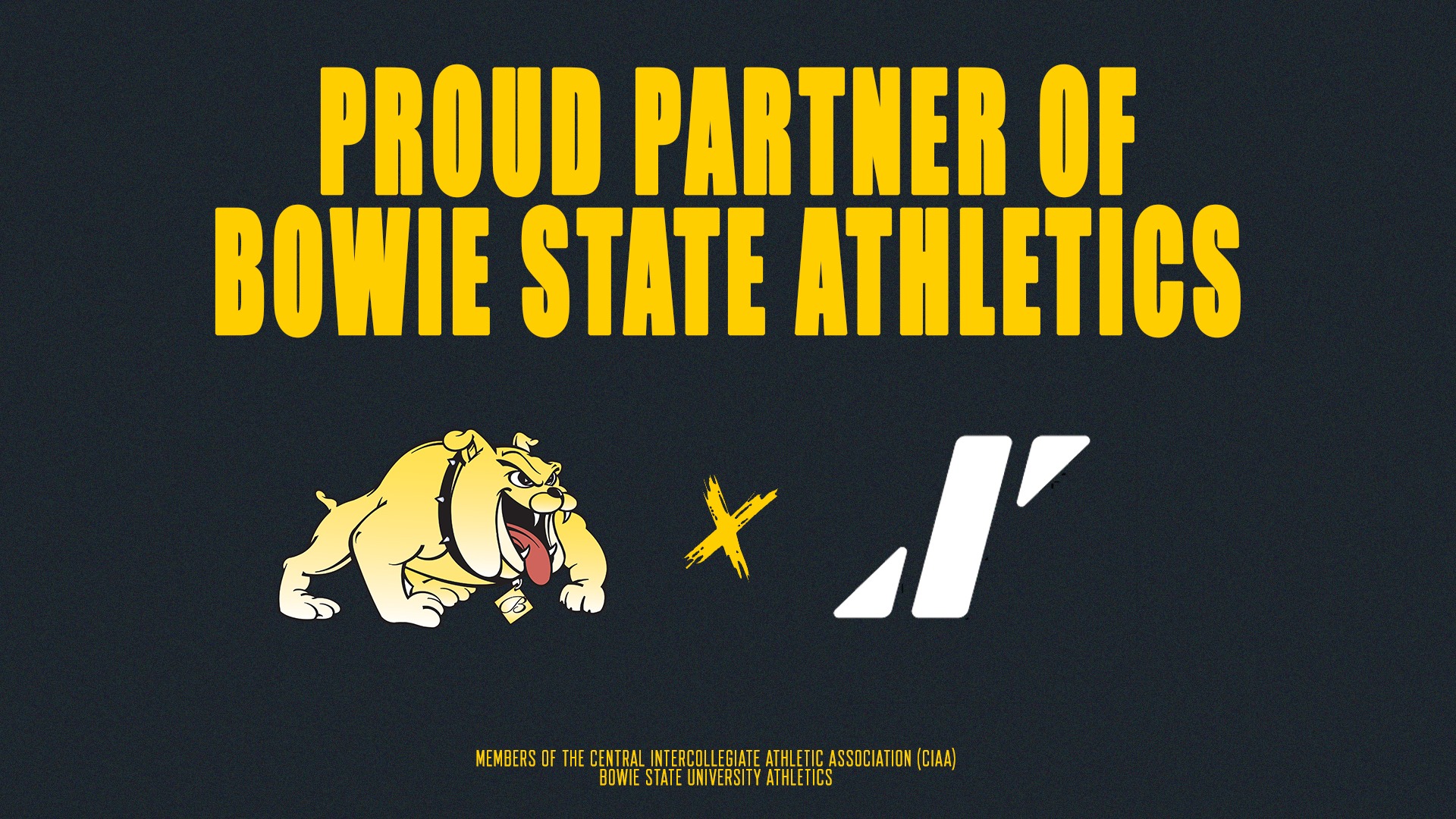 Influxer Sponsorship