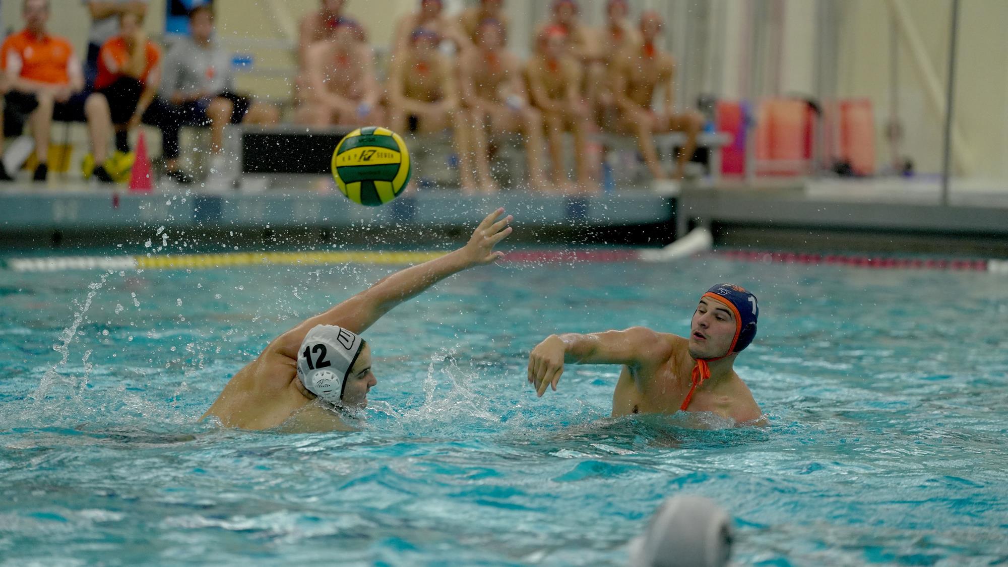 Jack Murad Men's Water Polo Bucknell University Athletics