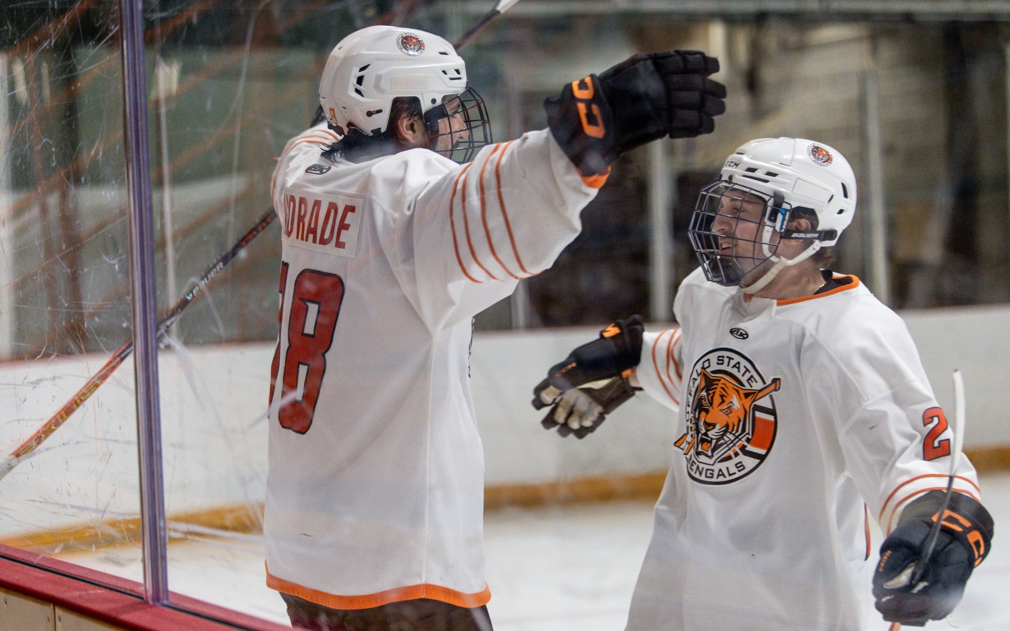 Andrade and Signoretti