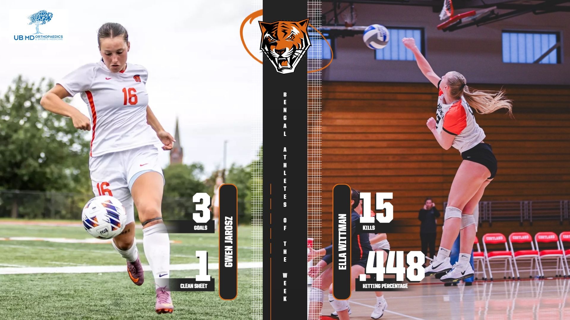 Bengal AOTW 10.14