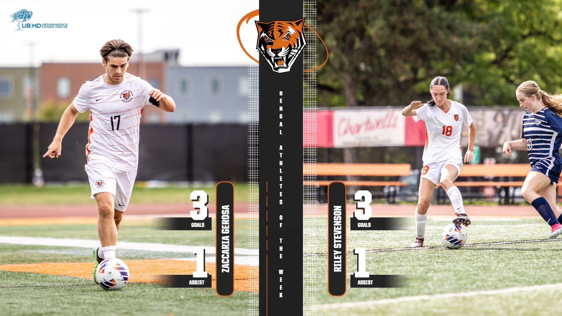 Bengal AOTW 10.20
