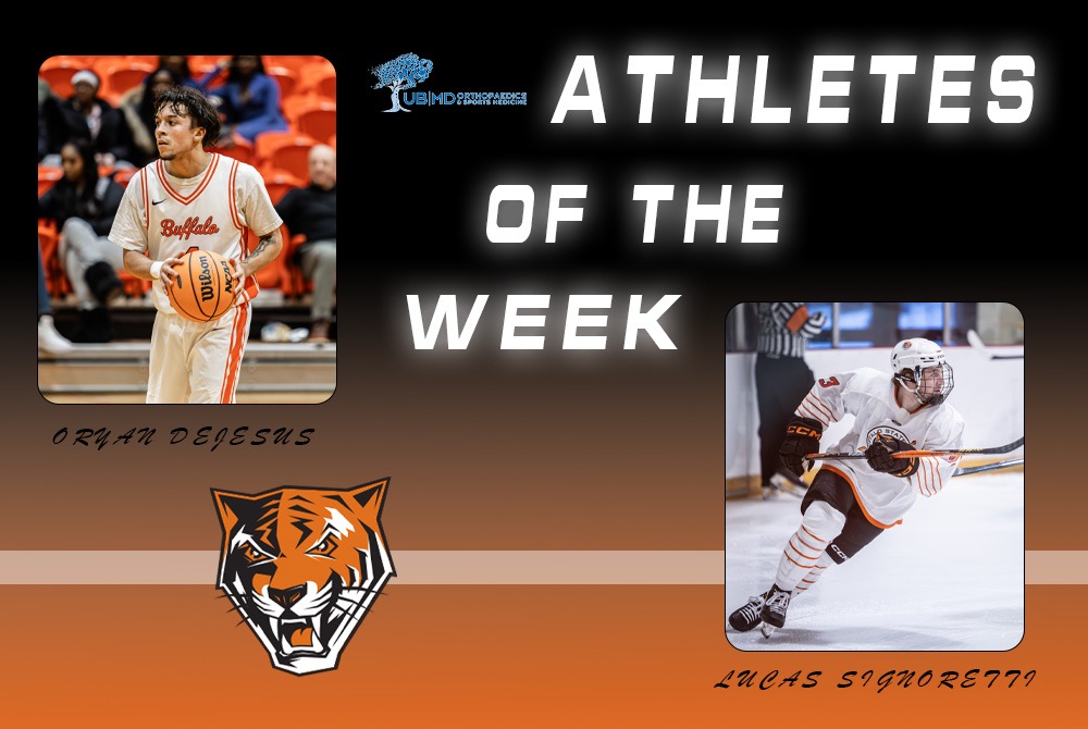 Bengal AOTW 2.17