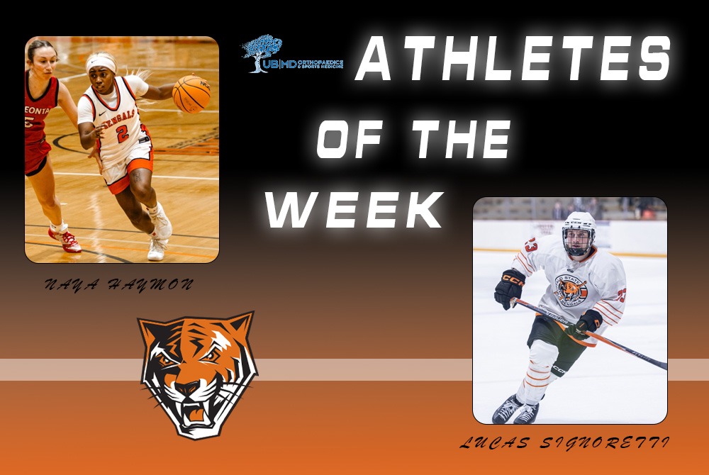 Bengal AOTW 2.3