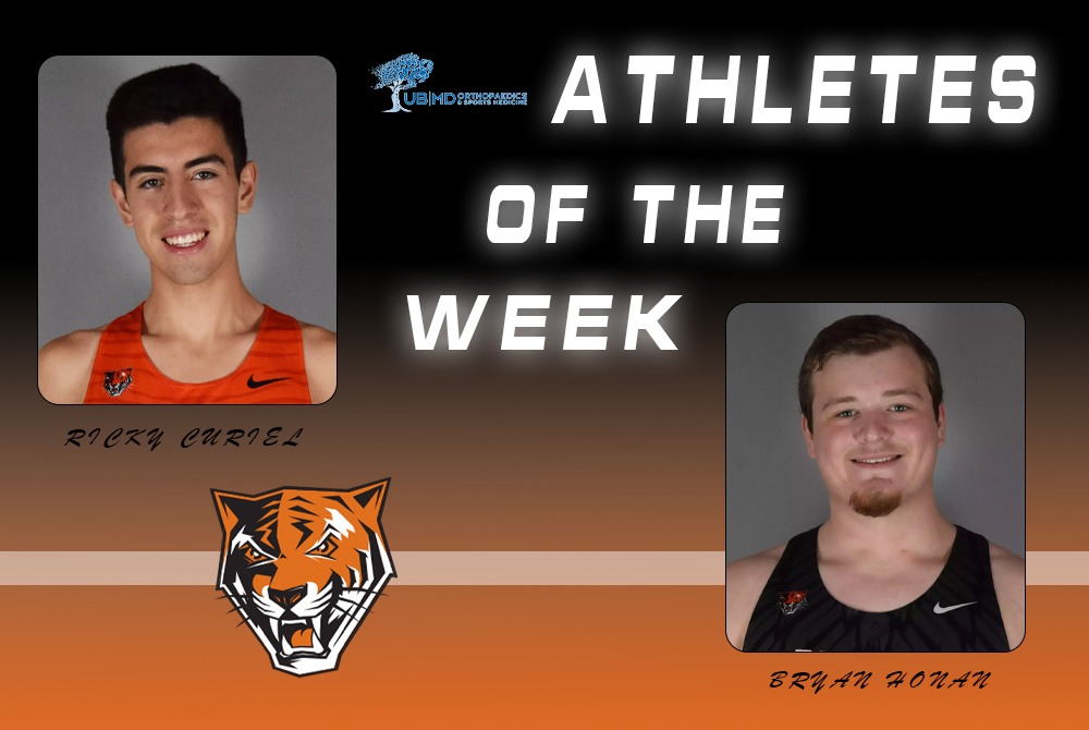 Bengal AOTW 3.31