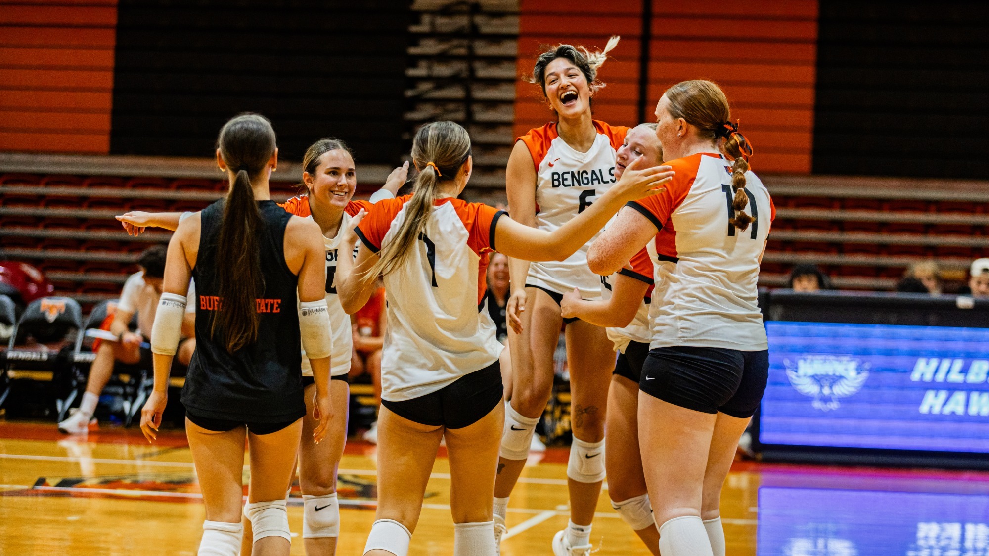 WVB Celly