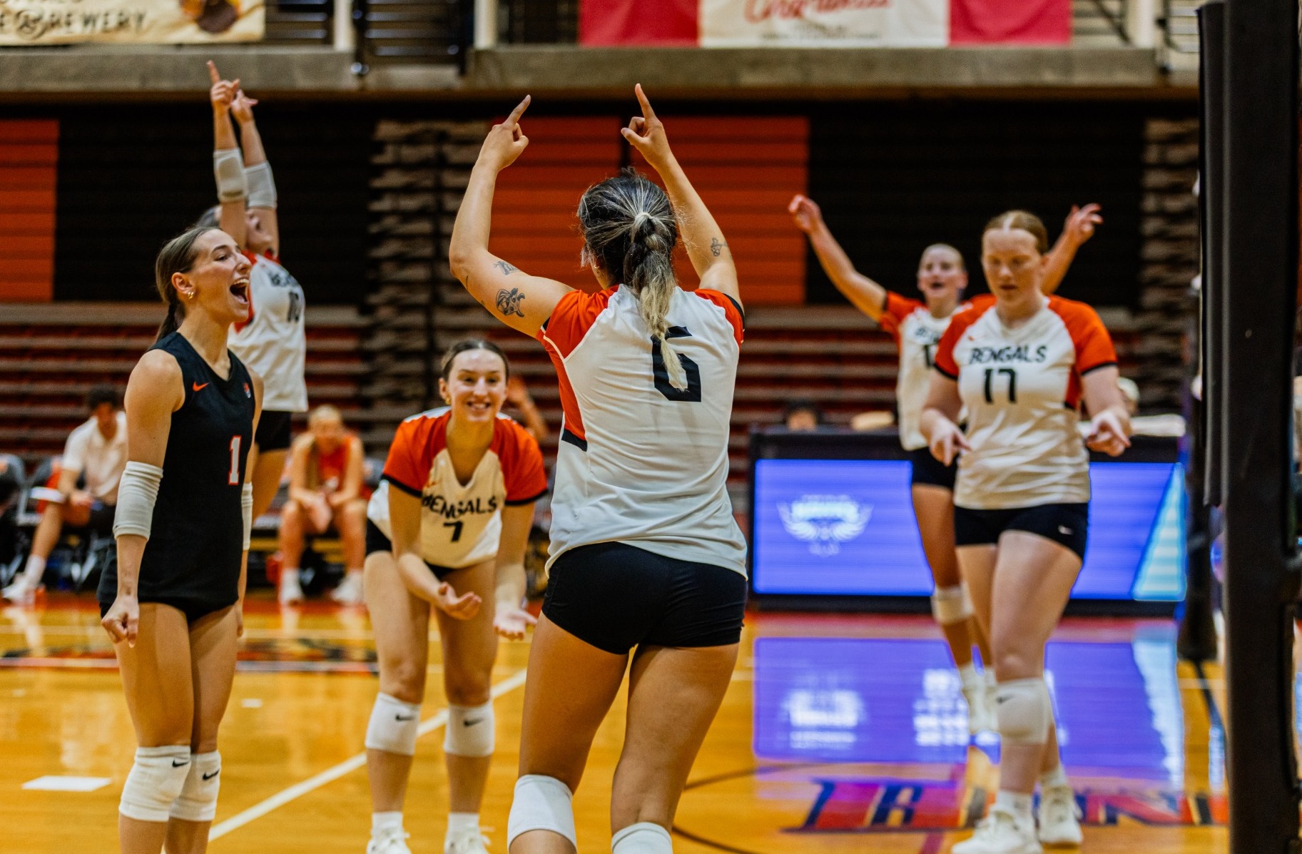 Team Celebration