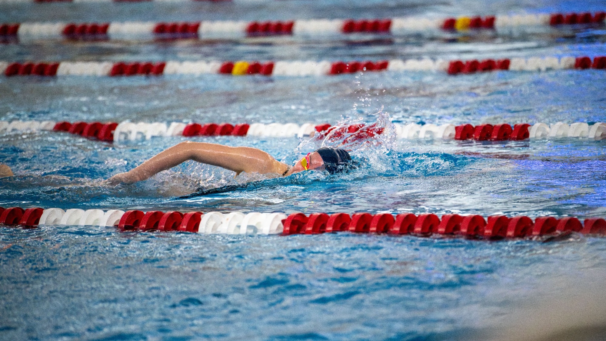Swim Senior Day freestyle
