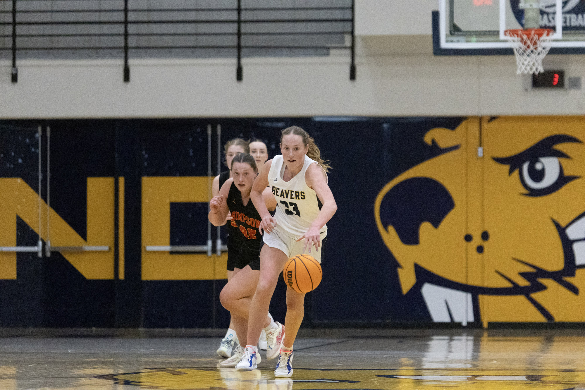 Madalynn Hilgendorf, BVU women's basketball vs. Simpson