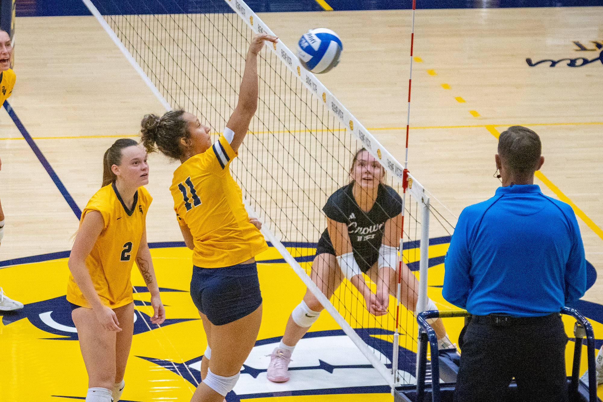 Keylee Gregg, BVU volleyball vs. Crown College