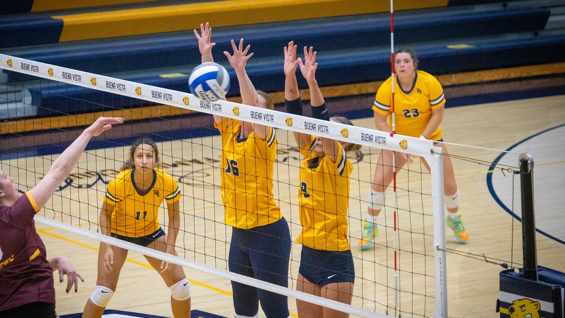 Volleyball vs. Concordia