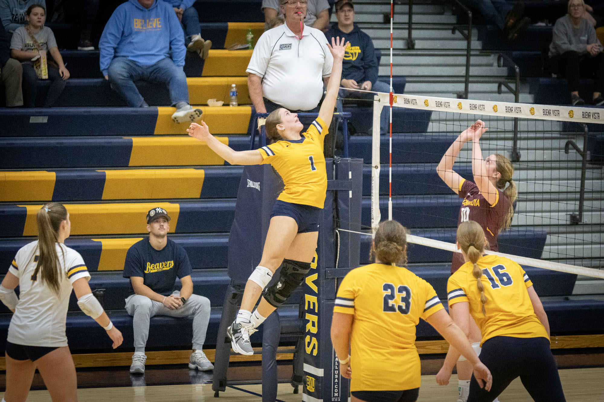 Charley Hernandez, BVU volleyball vs. Concordia