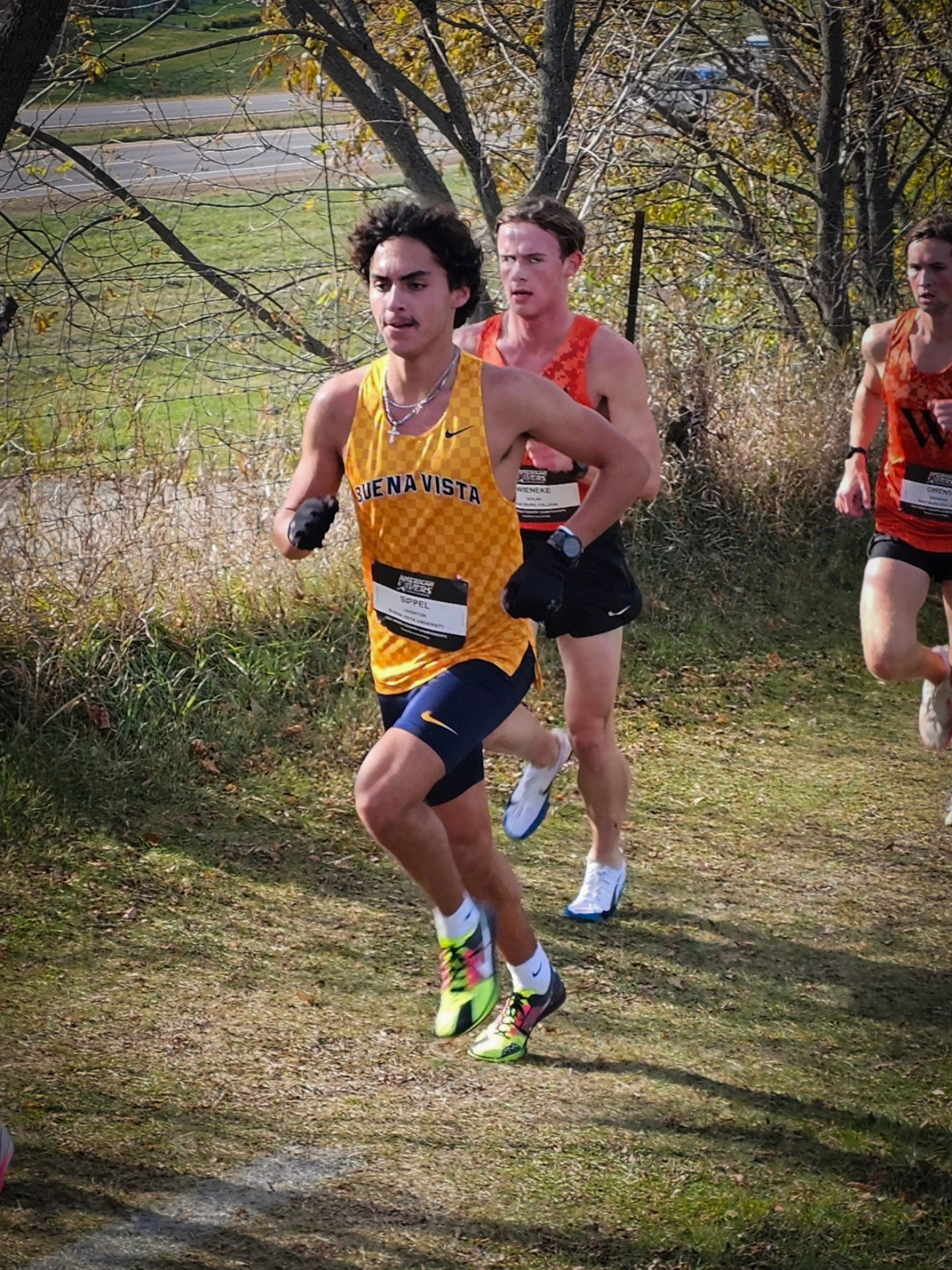 Leighton Sippel, BVU cross country at the American Rivers Conference championships