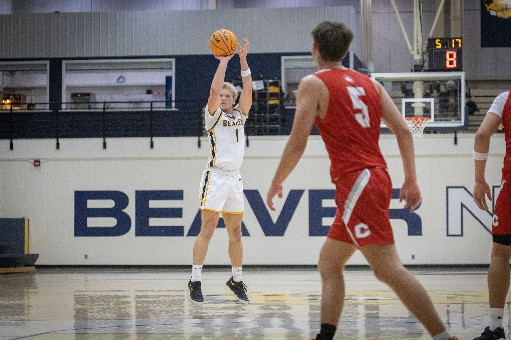 Jayden Brink, BVU men's basketball vs. Central
