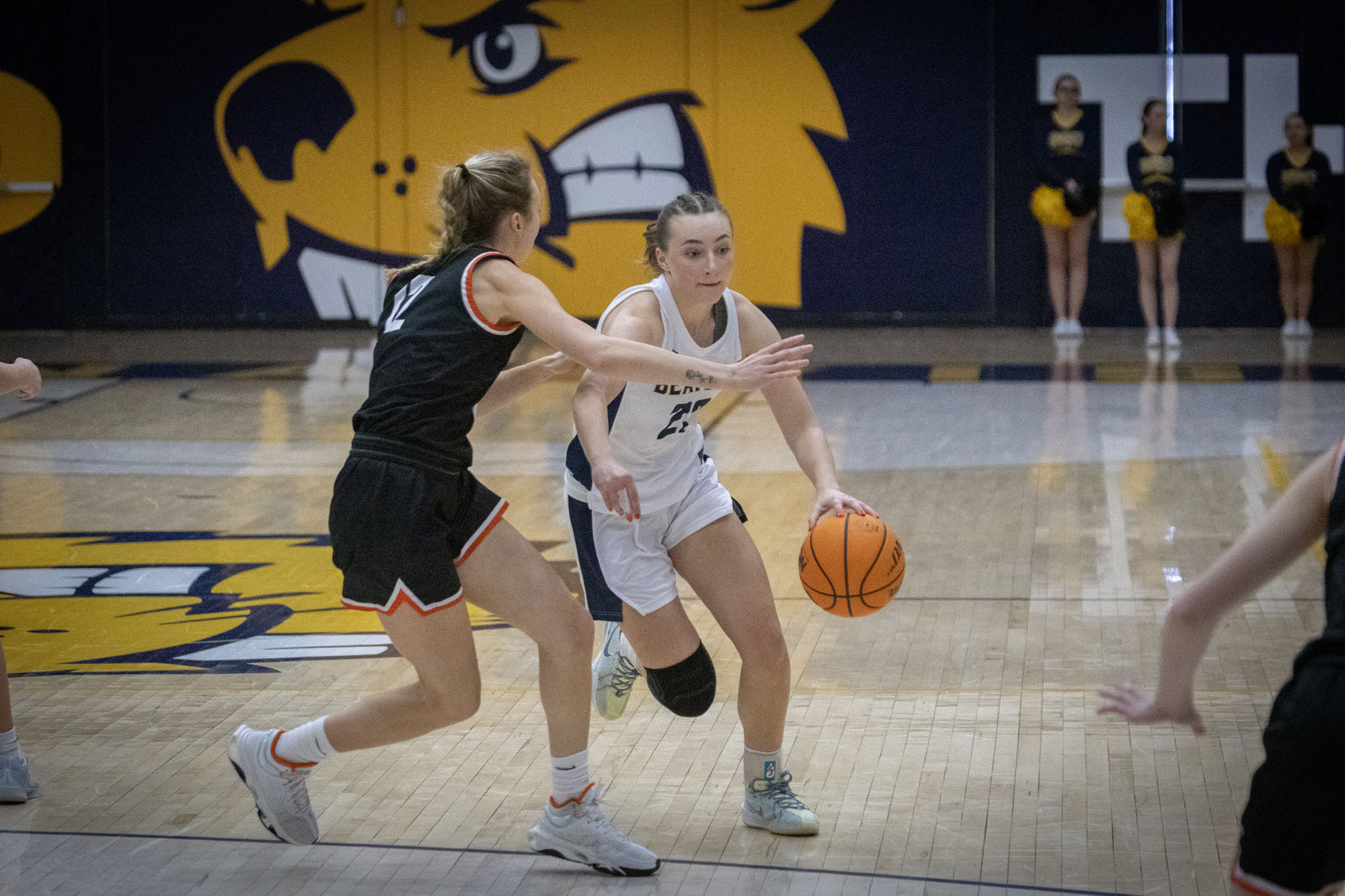 Tyme Boettcher, BVU women's basketball vs. Wartburg