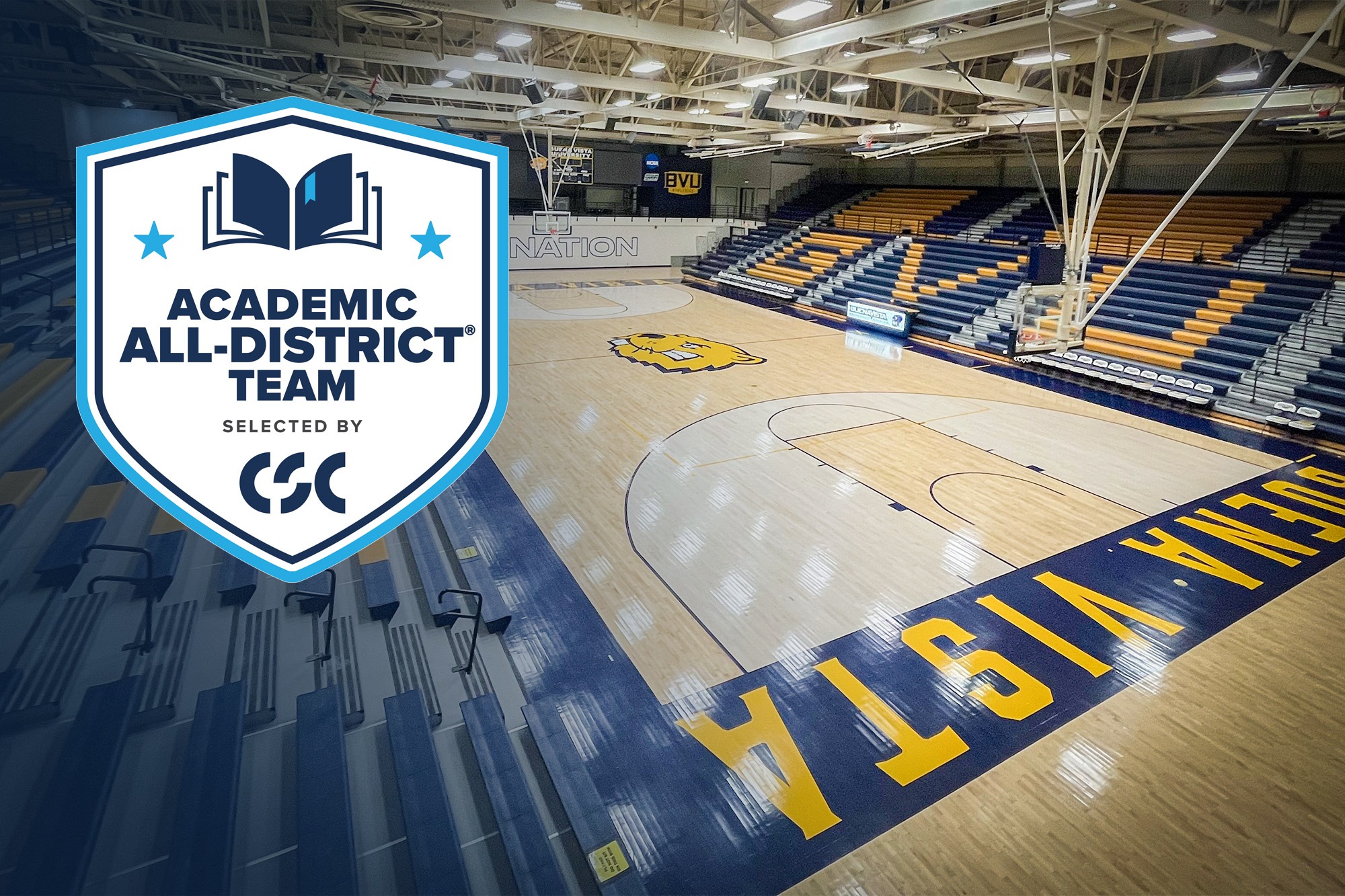 CSC Logo Basketball Court