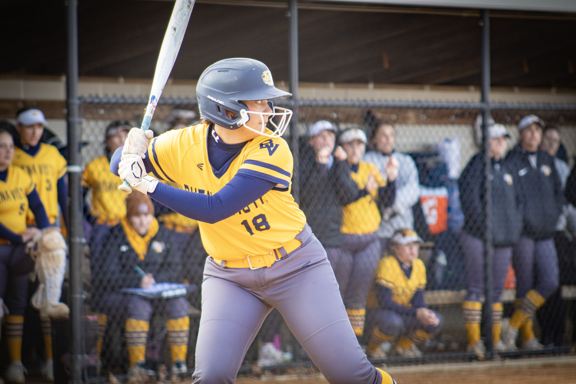 Lindy Nelson, BVU softball vs. Augustana