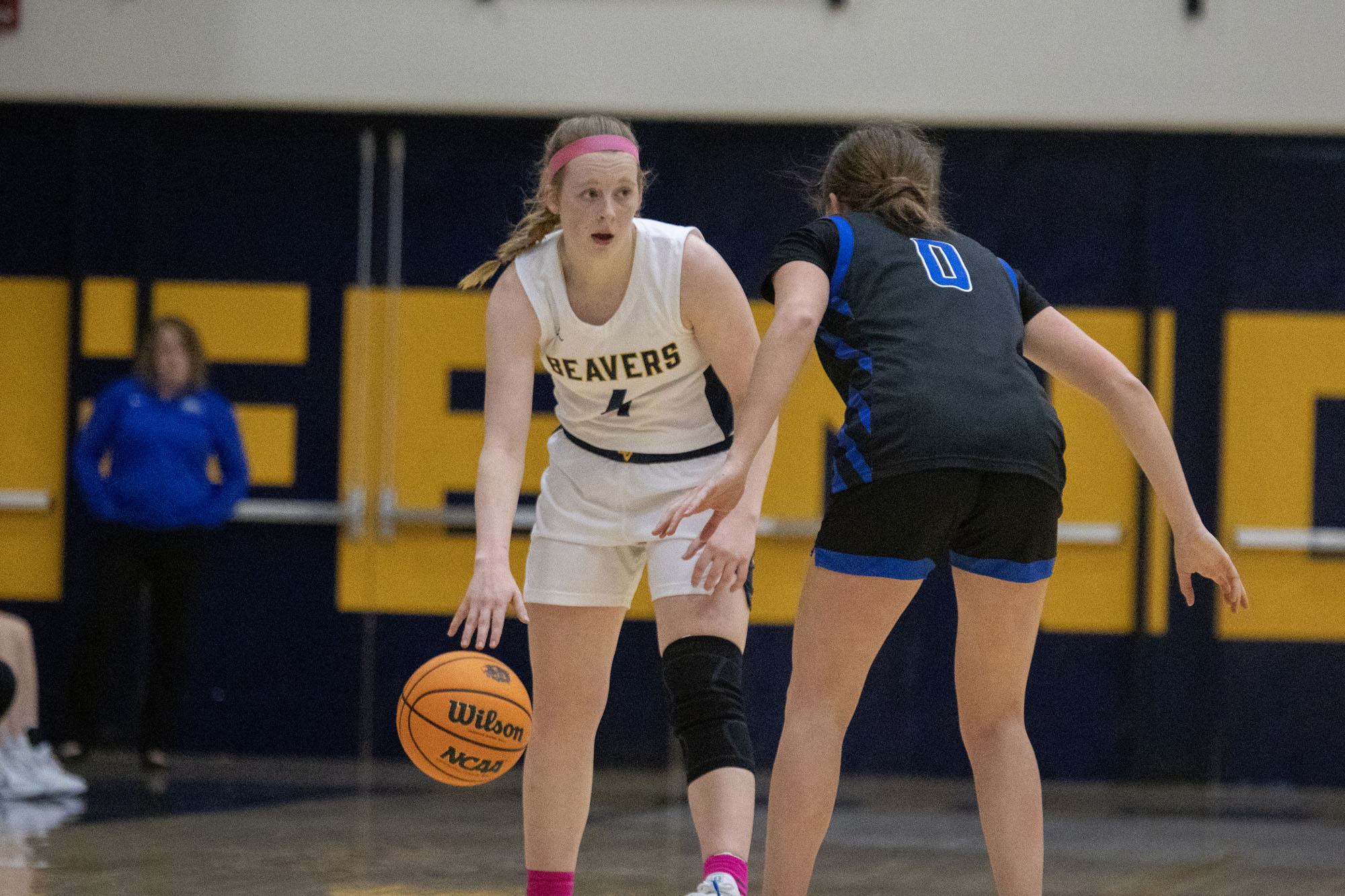 Danika Demers, BVU women's basketball vs. Luther