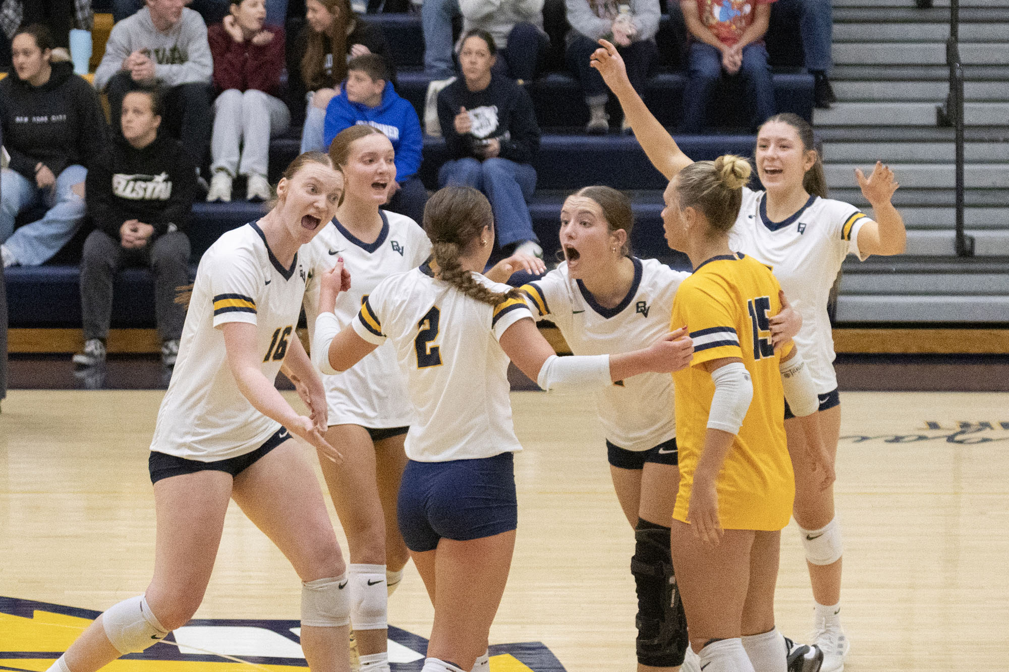 BVU volleyball vs. Dubuque