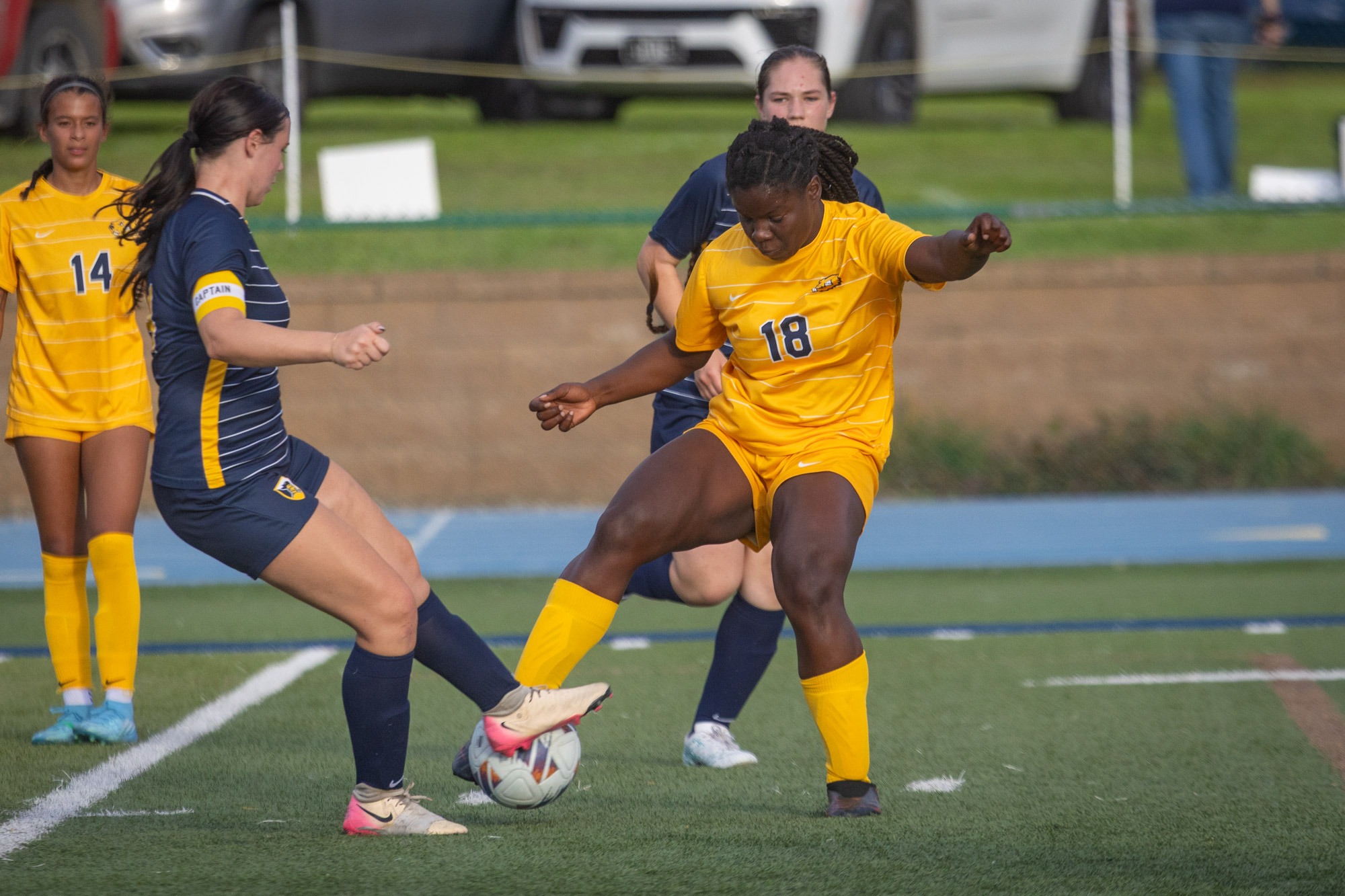 Destiny Kolheim, BVU women's soccer vs. Spurgeon
