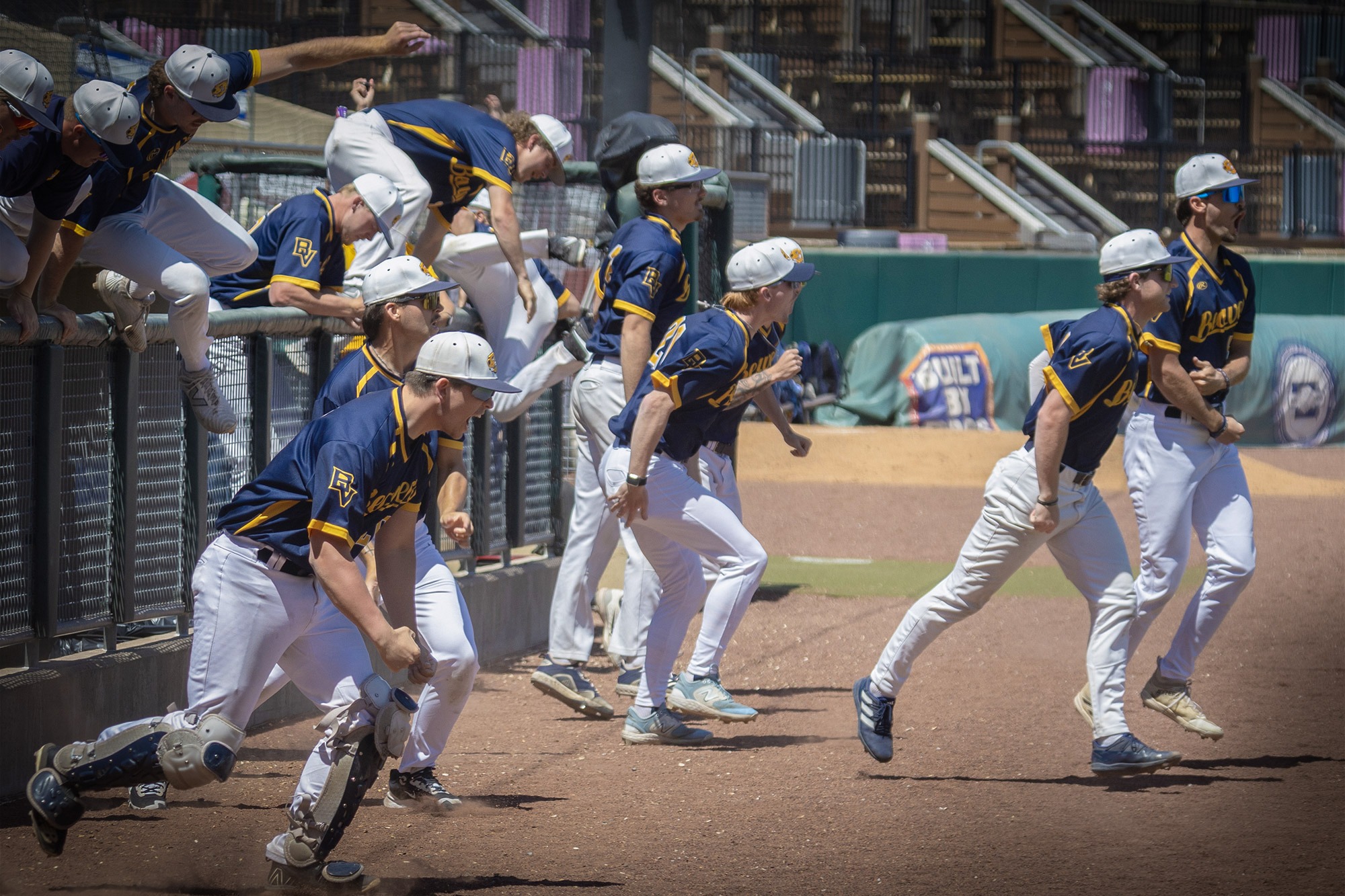 Dugout celebration, BVU baseball vs. Coe