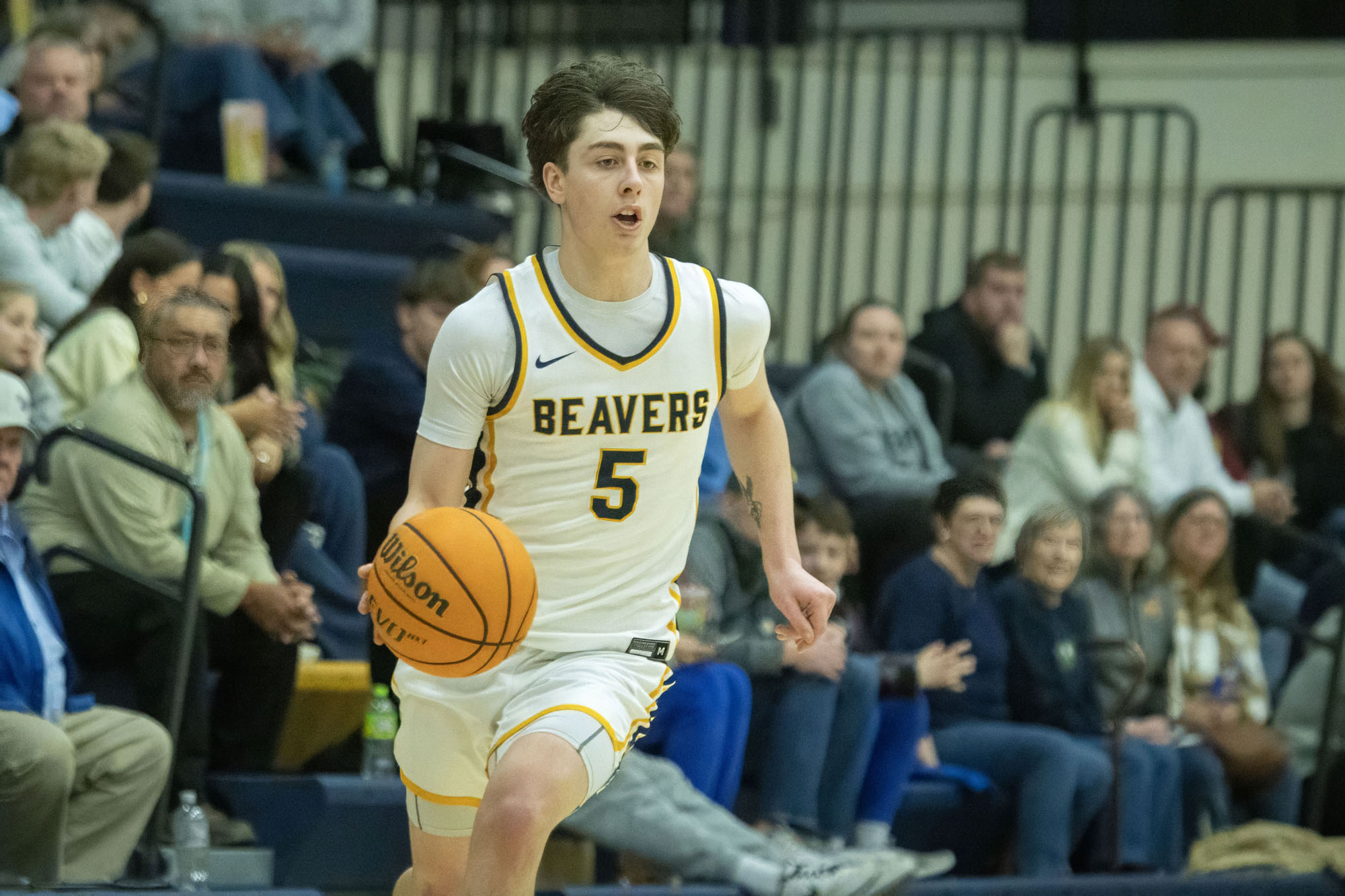 Shane Bierle, BVU men's basketball vs. Loras