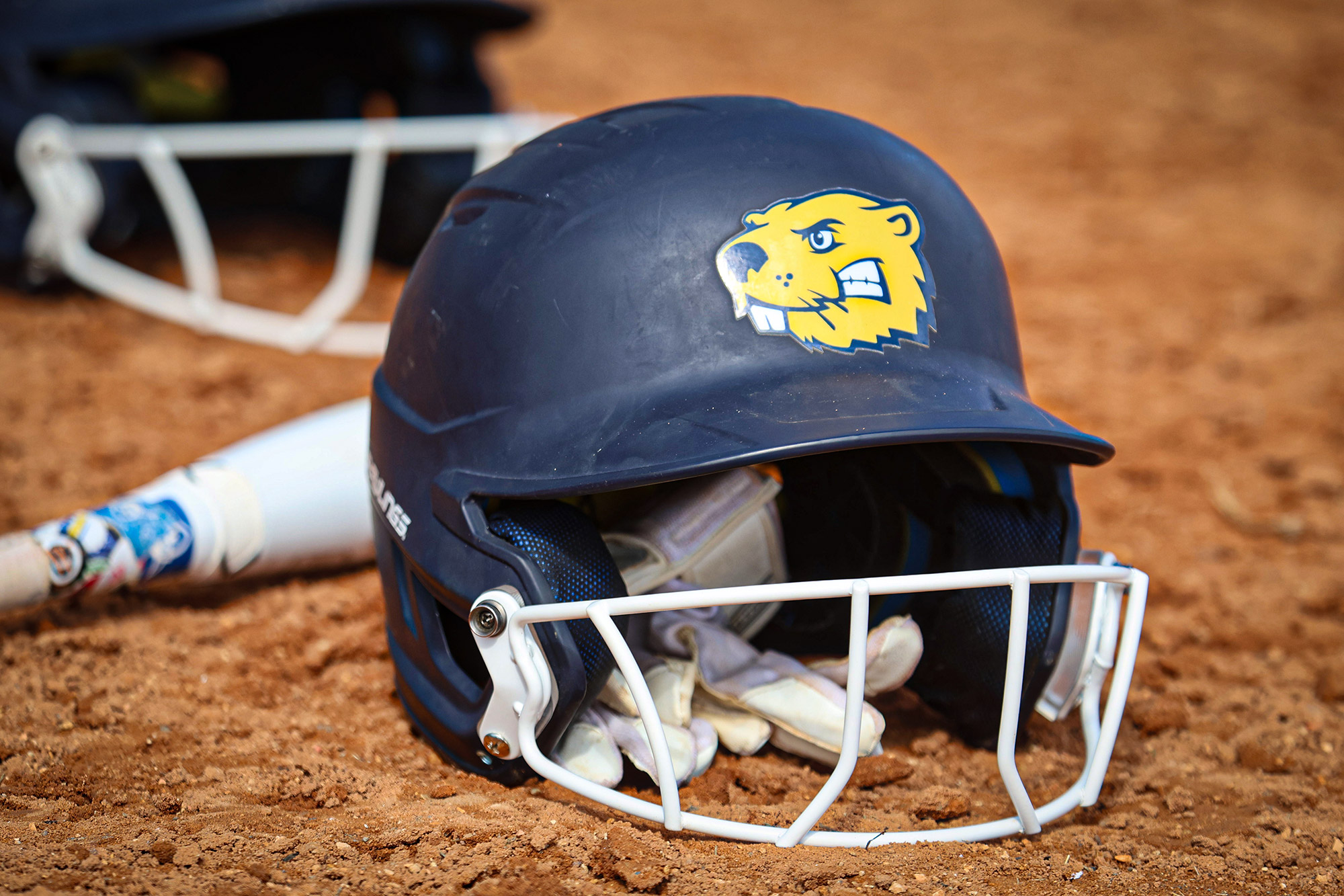 Beaver softball helmet and bat