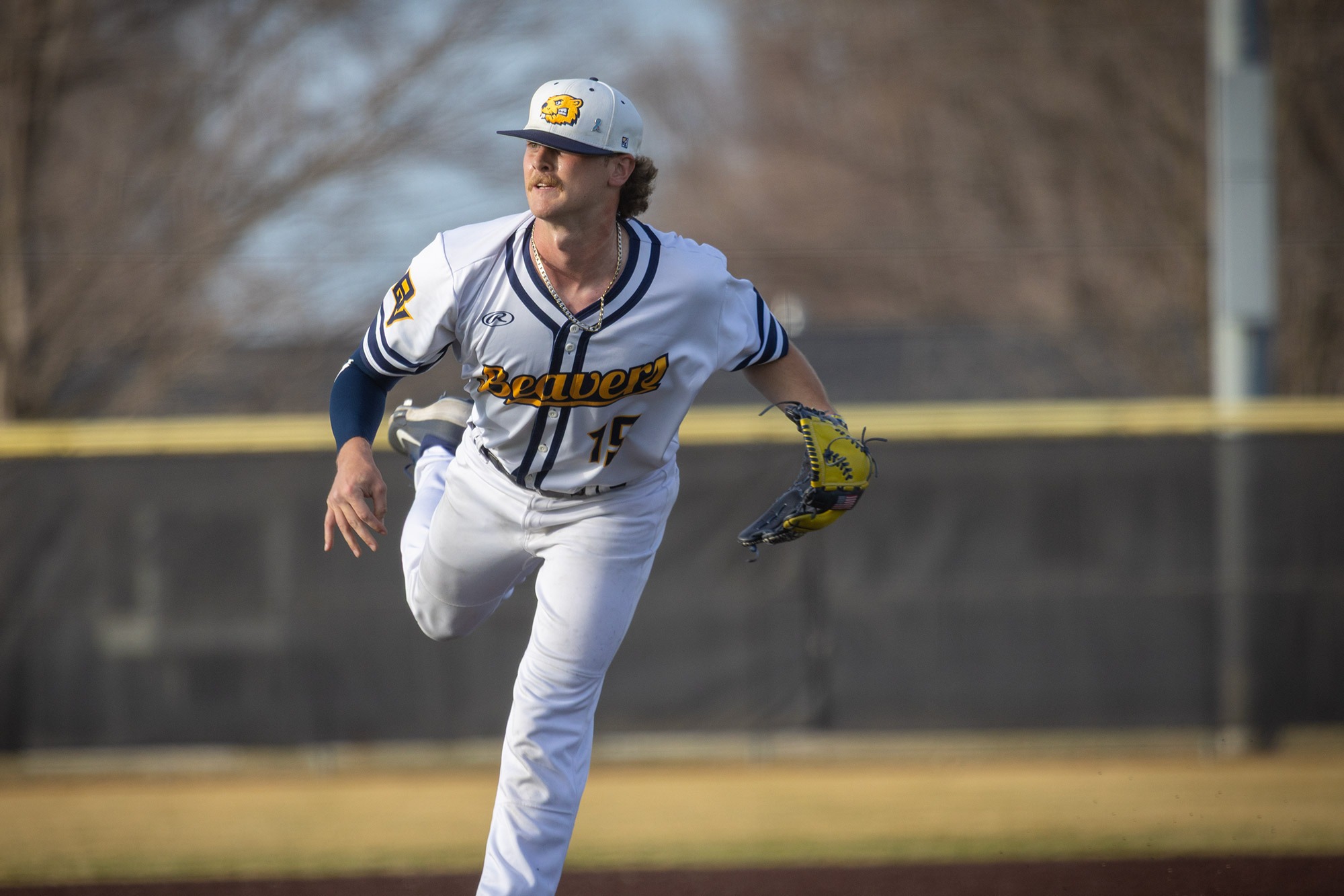 Ean McDaniel, BVU baseball vs. Dubuque