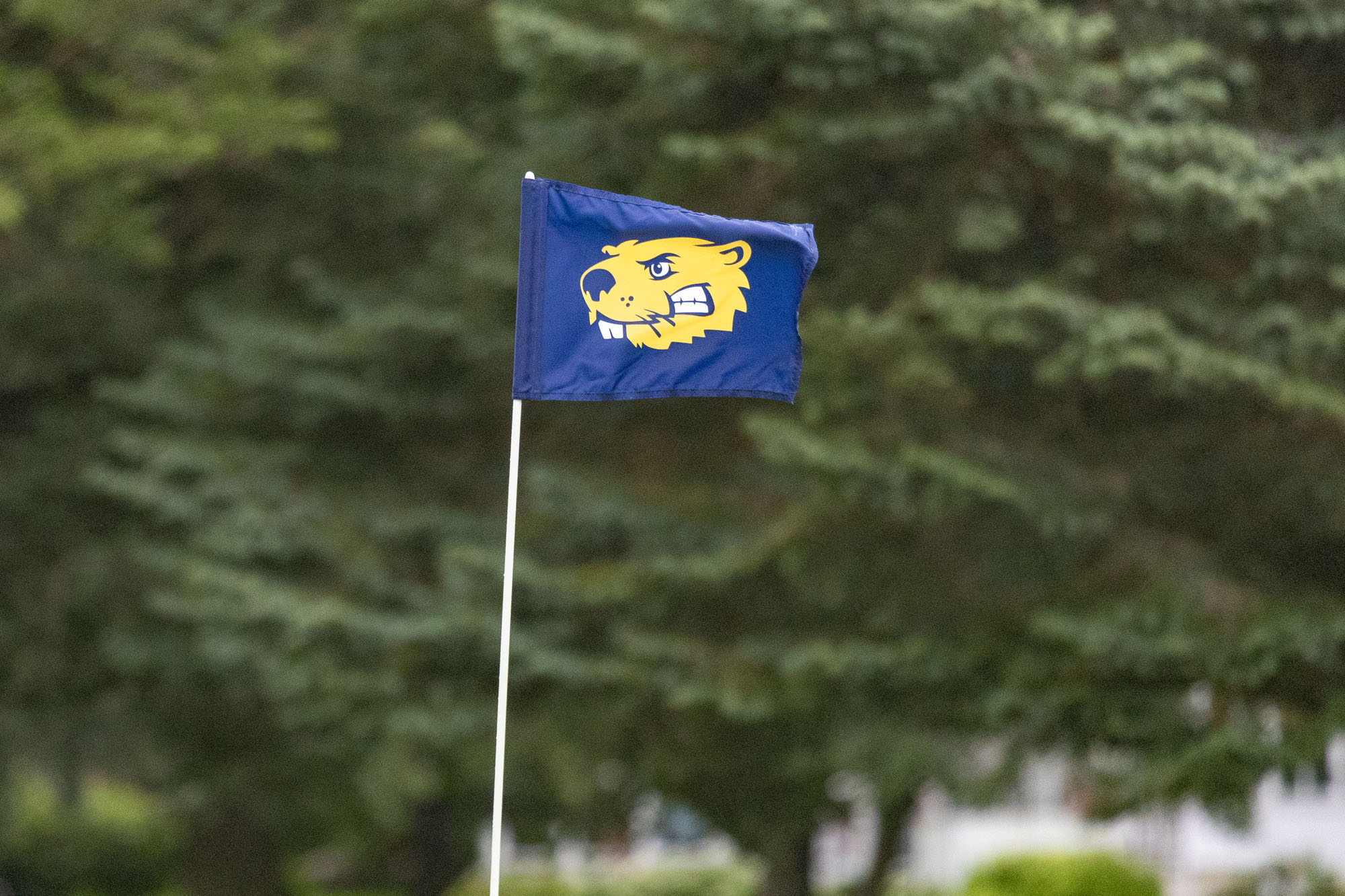 Buena Vista University Golf Course and Lake Creek