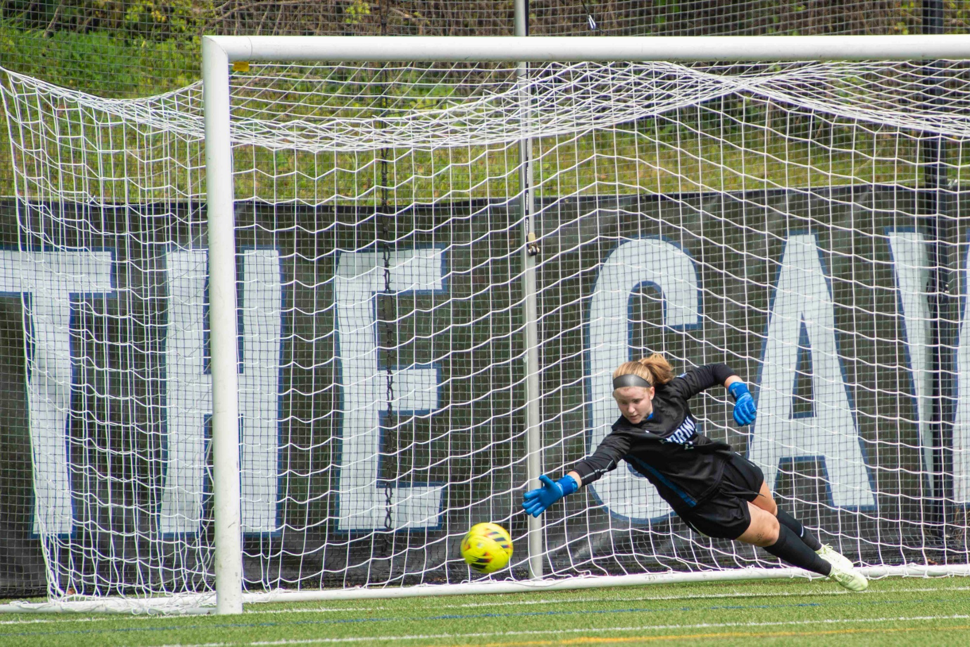 Caroline Hassall bid