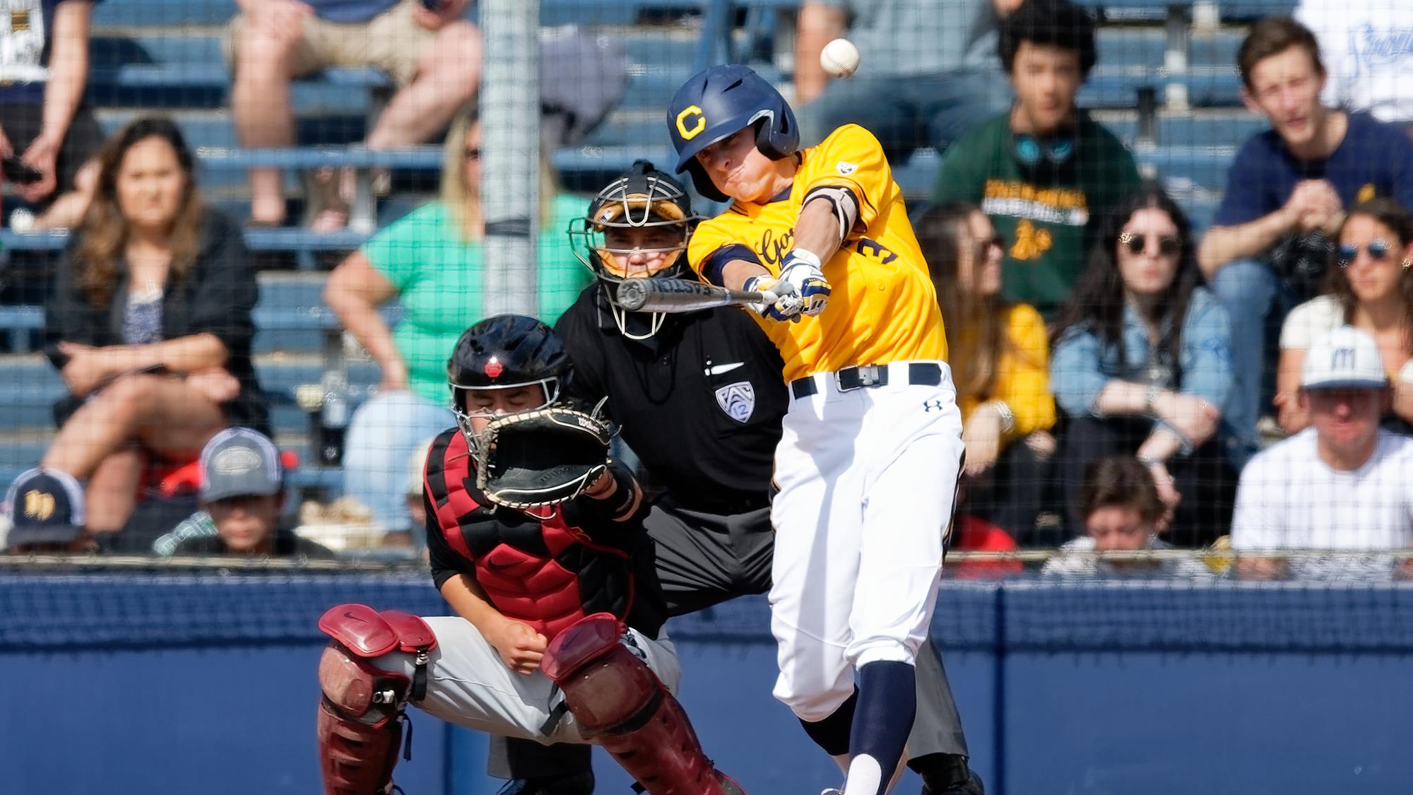 Sean Sullivan Baseball California Golden Bears Athletics