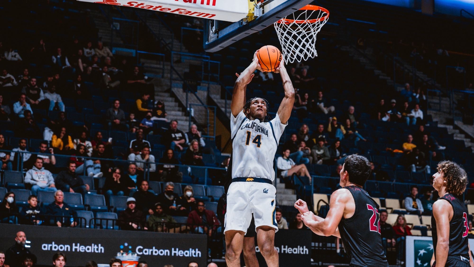 Grant Newell Men's Basketball California Golden Bears Athletics