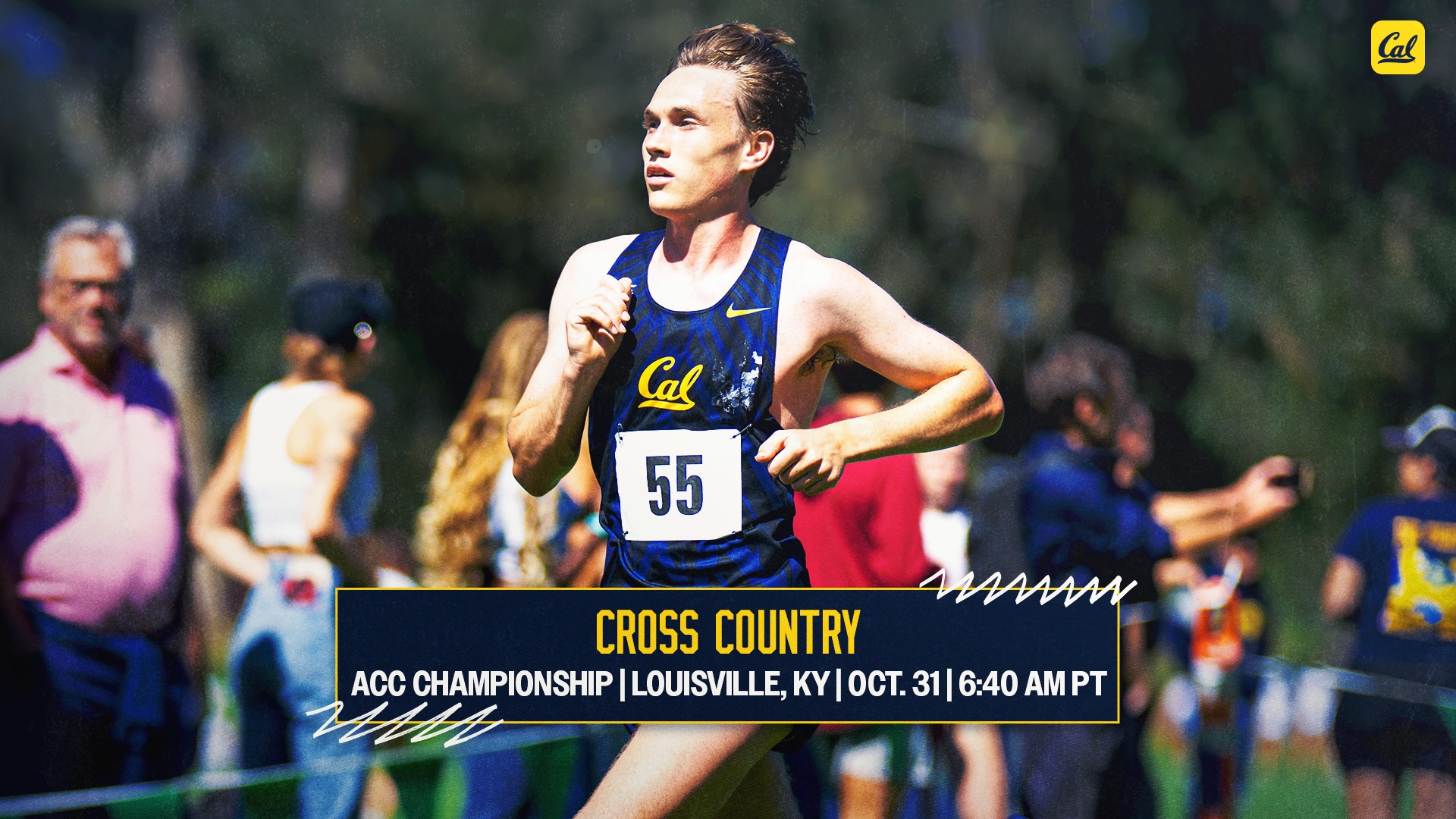 Bears Head to Louisville