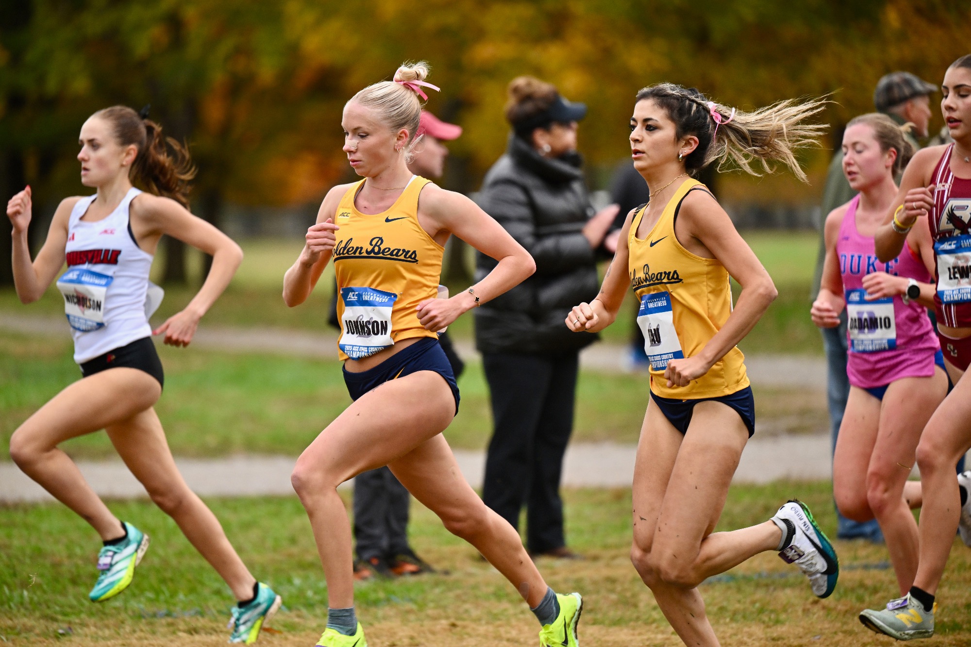 Bears raced in Louisville, Ky.