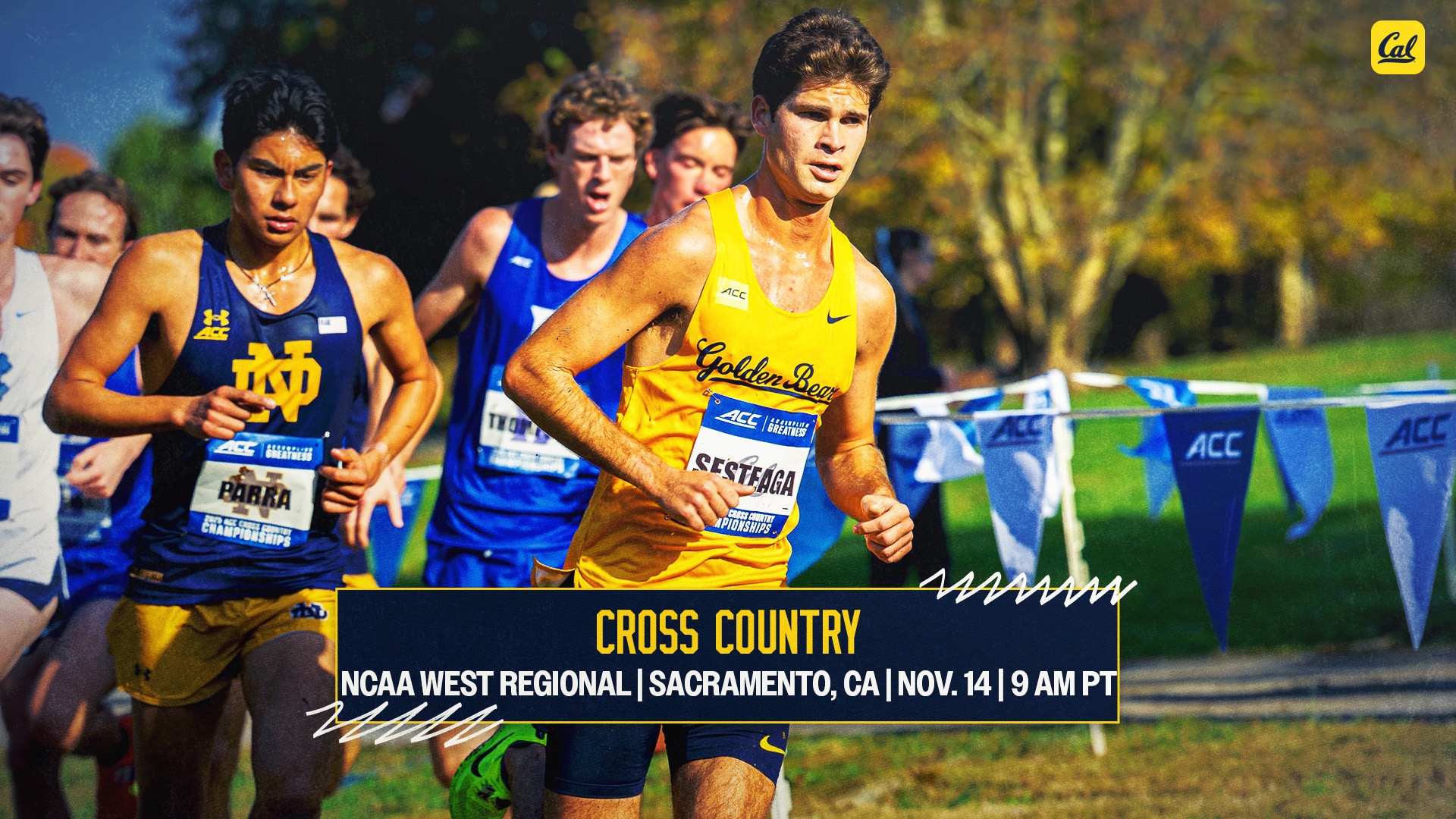 Bears Head To Sacramento.