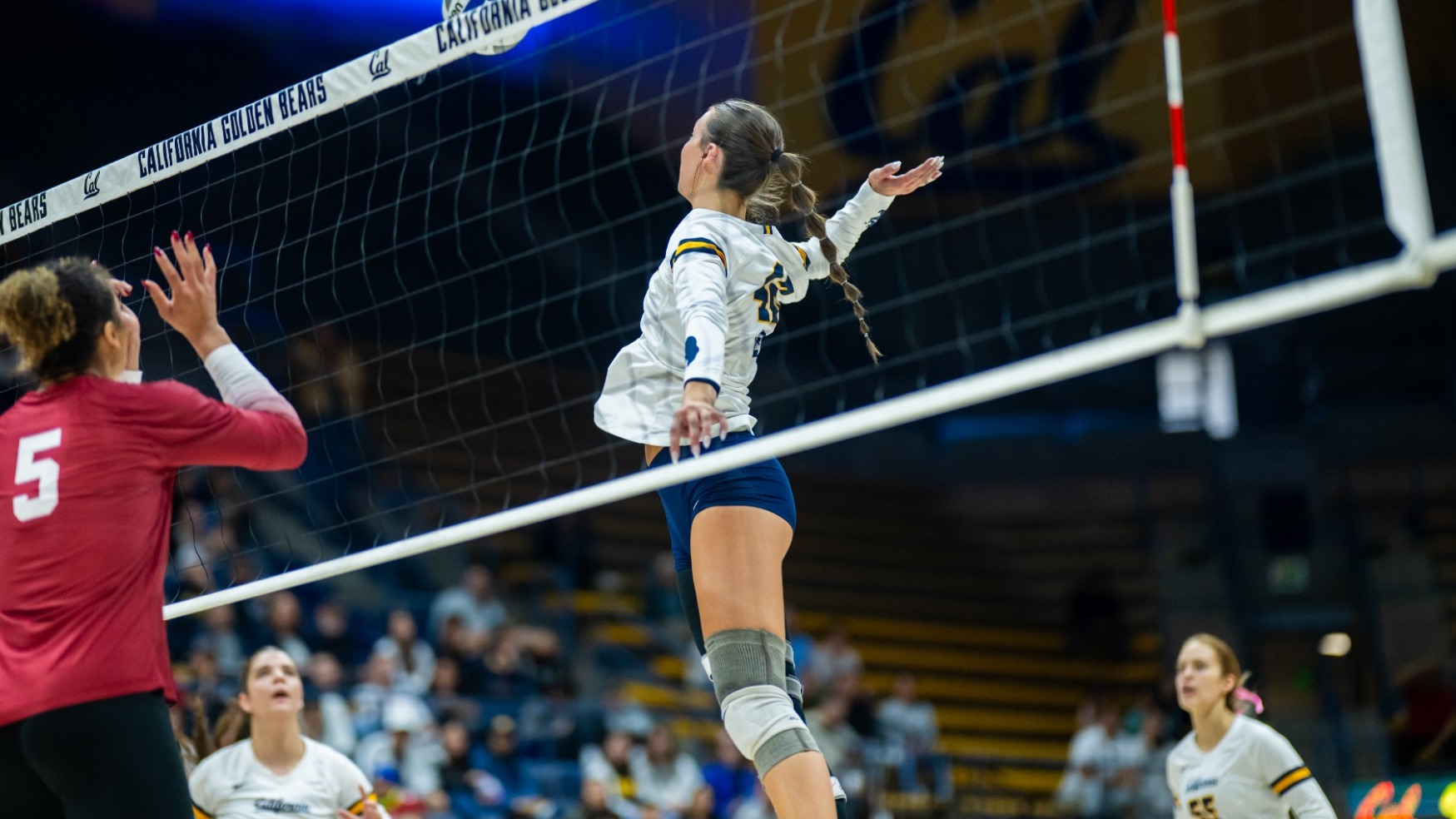 November 23, 2025; Berkeley, California, USA; Cal Volleyball vs Stanford;  (Photo credit: James Molgaard/KLC ƒotos)